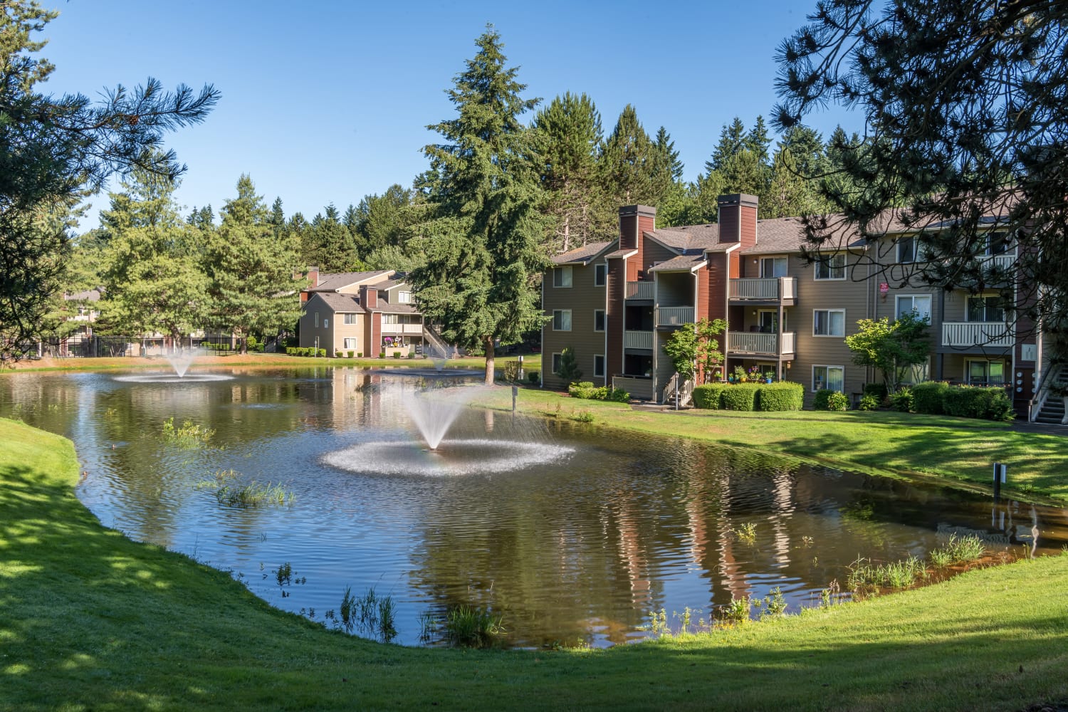 Community green space with pond at The Preserve at Forbes Creek in Kirkland, Washington
