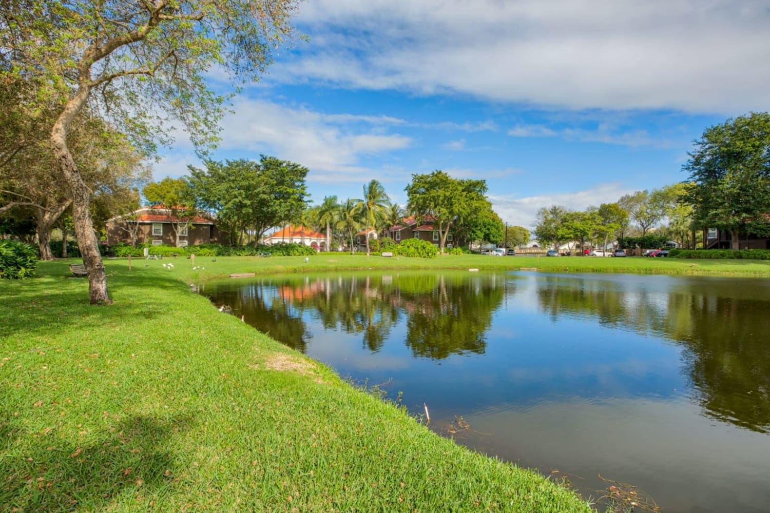 Beautiful lake view at Village Place Apartment Homes in West Palm Beach, Florida
