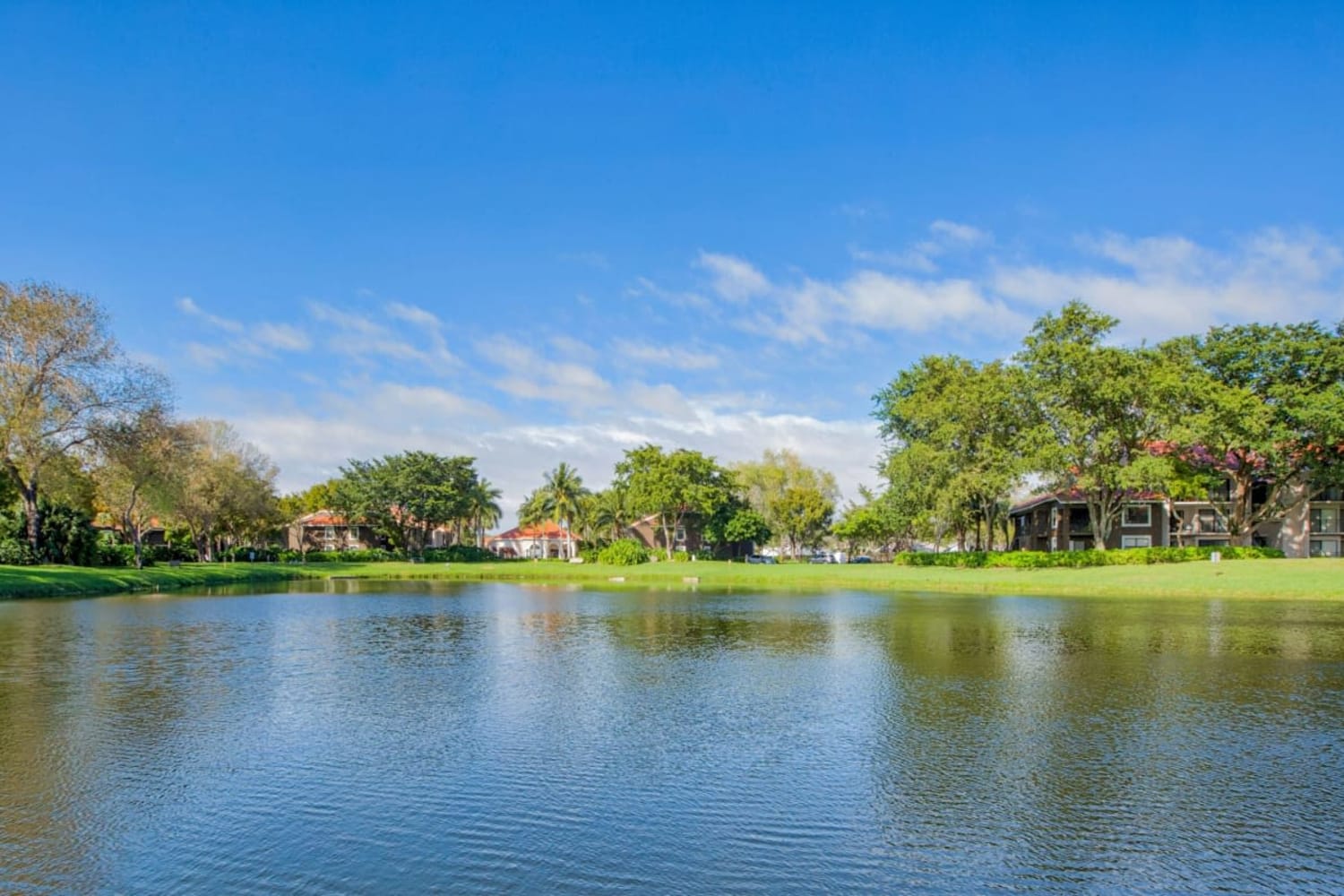 Gorgeous lake view at Village Place Apartment Homes in West Palm Beach, Florida