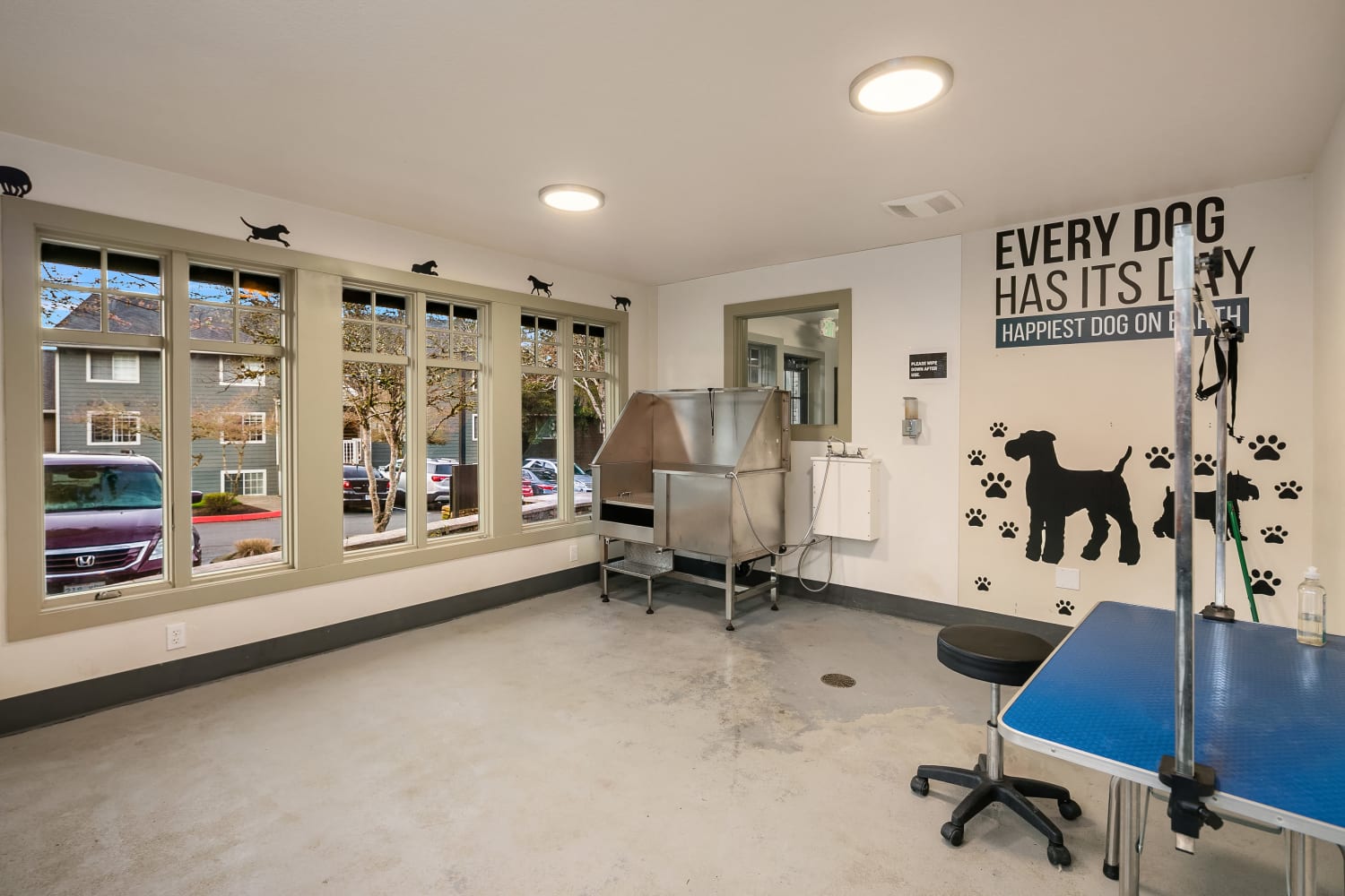An onsite dog grooming room at Overlook at Lakemont in Bellevue, Washington