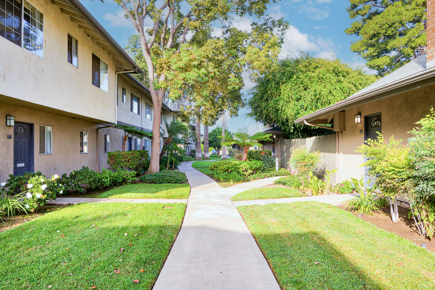 Apartment homes for rent at Mango Tree in Santa Ana, California