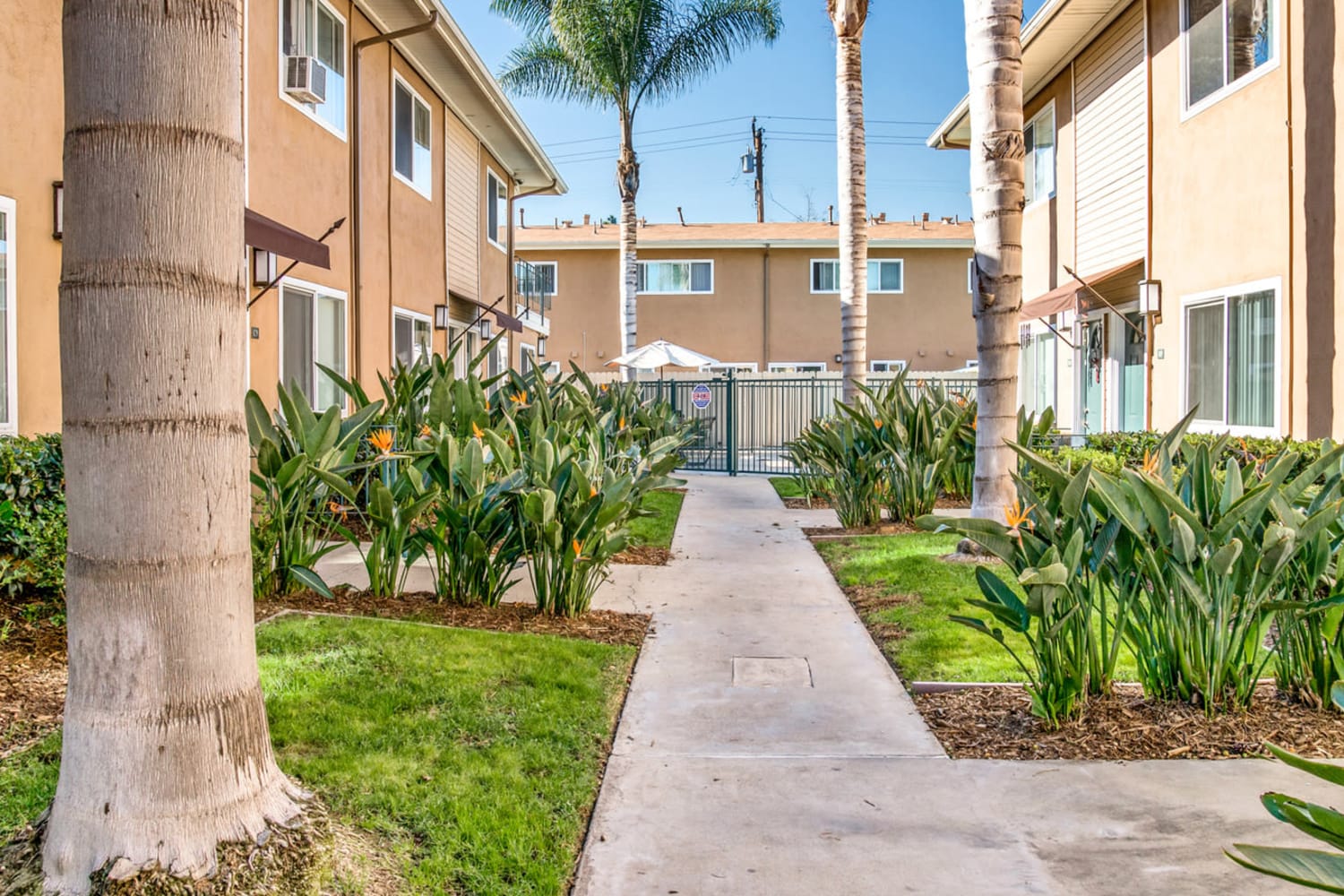Olive Tree apartments in Costa Mesa, California