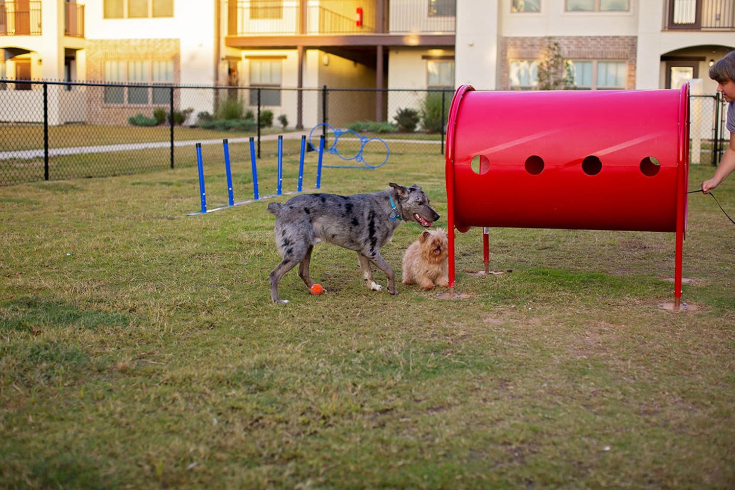 Show your pup a good time in our on-site dog park at Palisades at Pleasant Crossing in Rogers, Arkansas