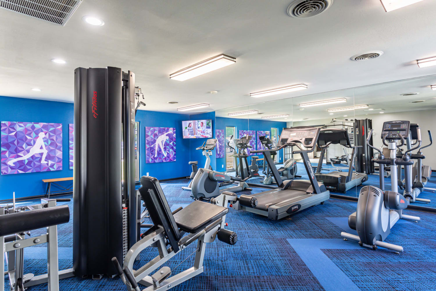 Well-equipped fitness center with cardio equipment at Mallards Landing Apartment Homes in Nashville, Tennessee