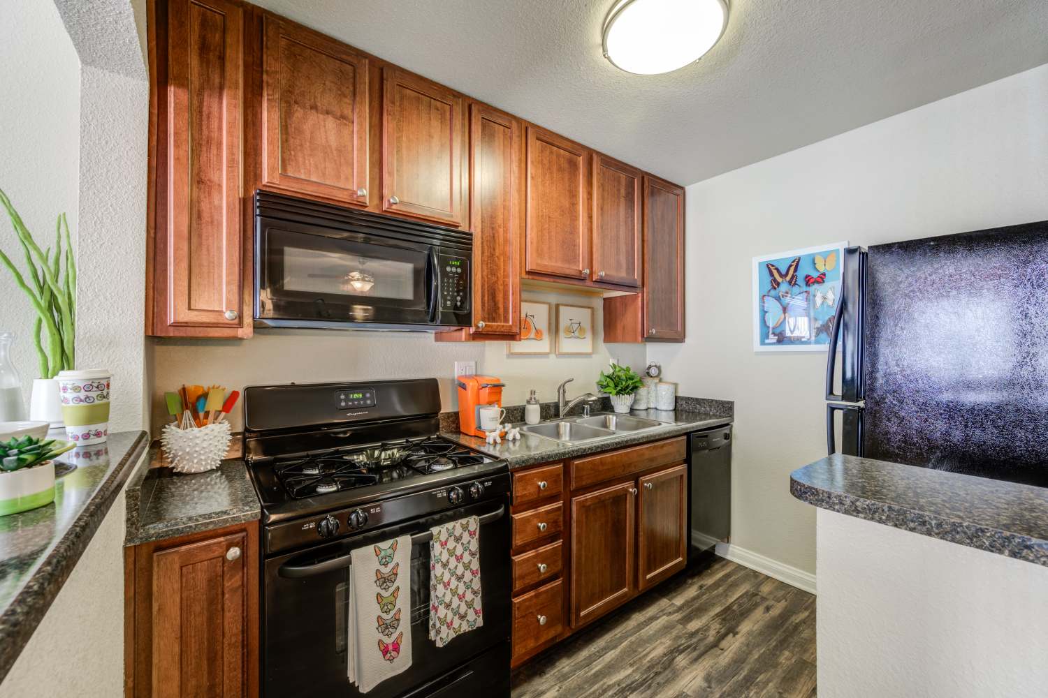 UCA Apartment Homes remodeled kitchen in Fullerton, California