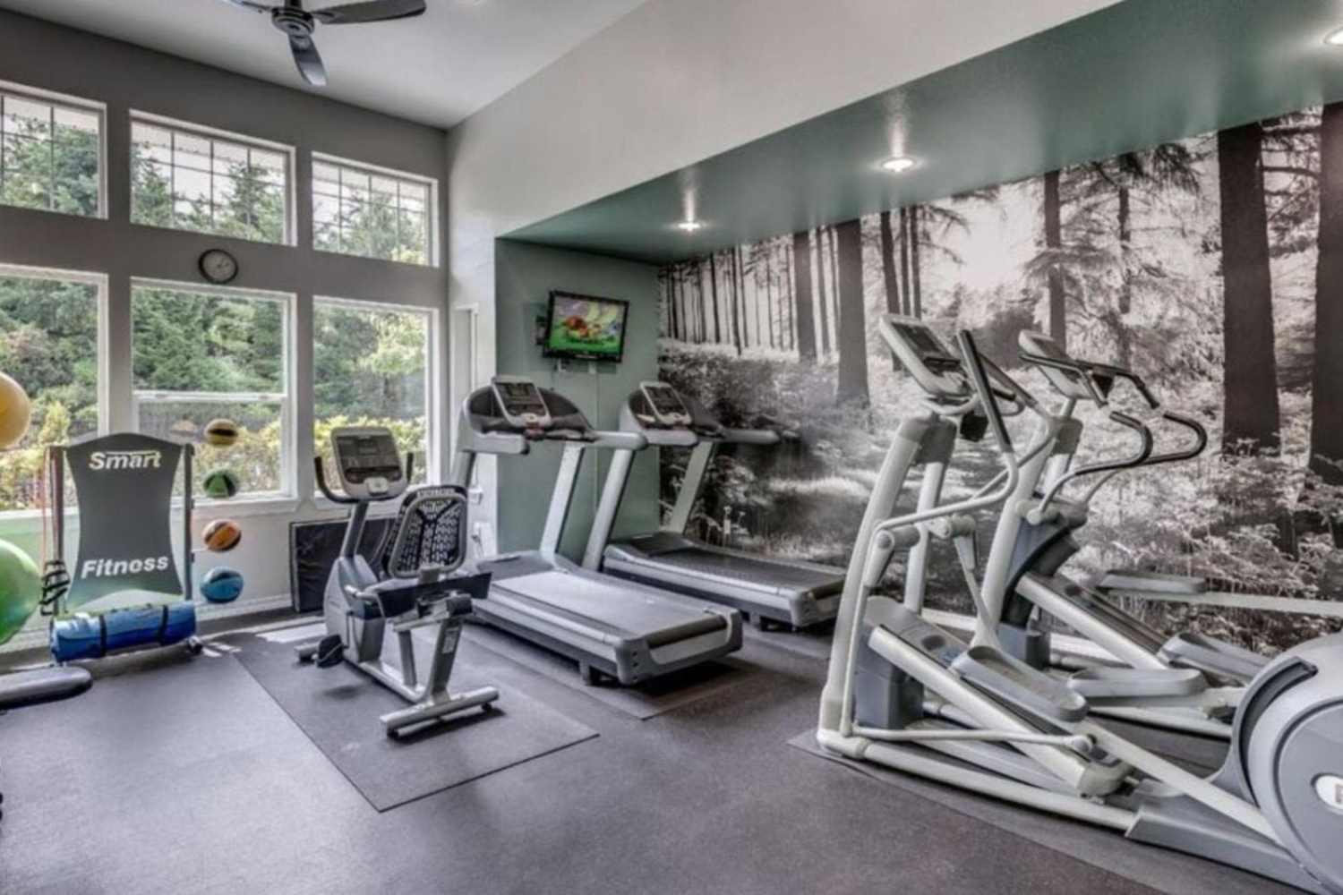 Modern Fitness Equipment at Stonemeadow Farms in Bothell, Washington