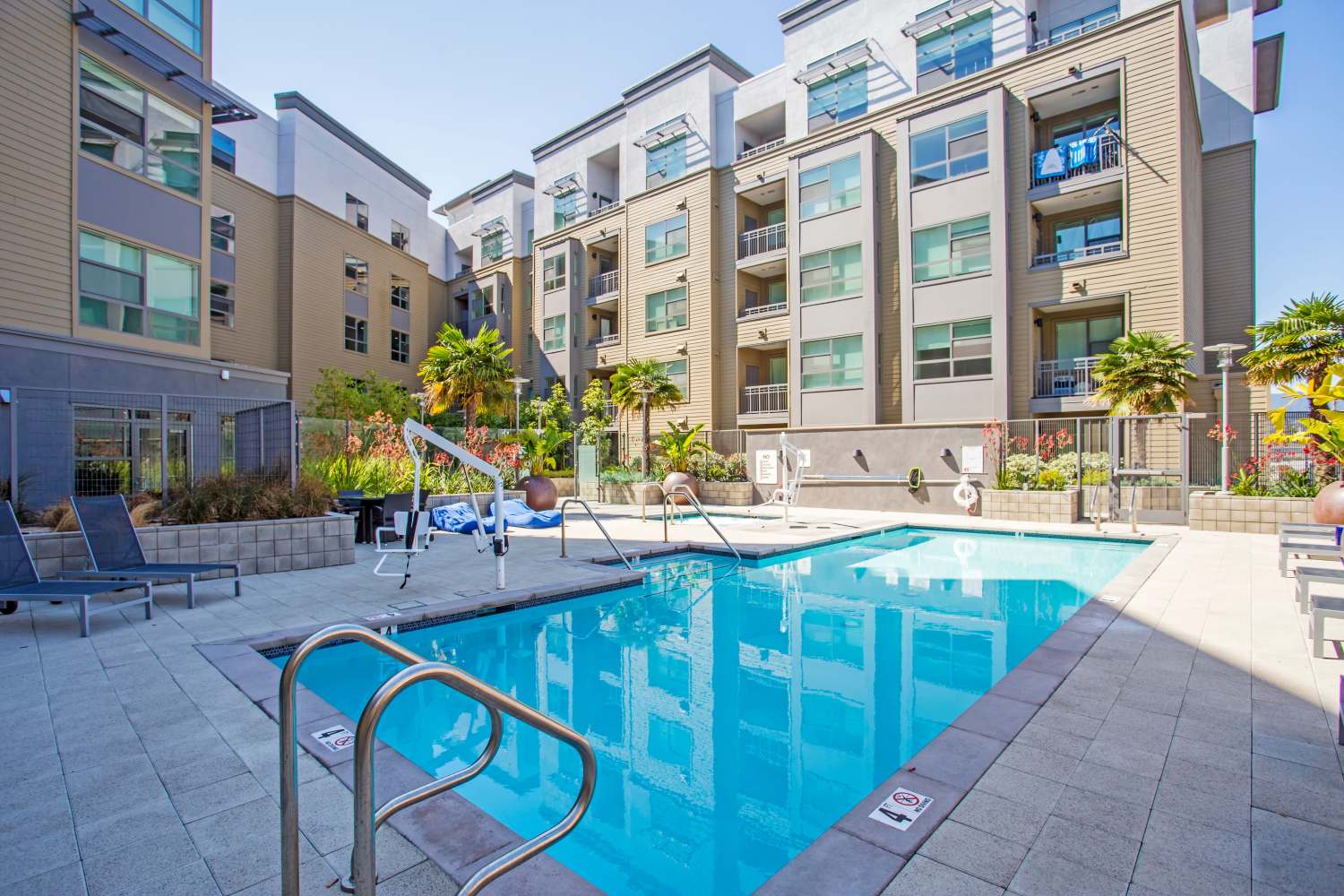 Resident swimming pool at Franklin 299 in Redwood City, California