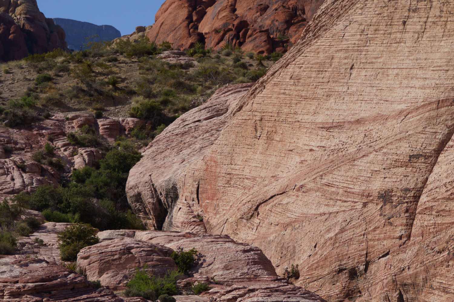 Photo of Red Rock Canyons near Heirloom at Torrey Pines in Southwest Las Vegas, Nevada