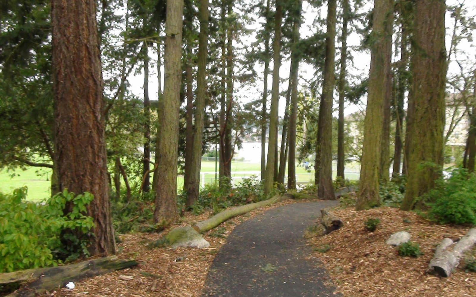 A hiking trail at The Cambridge at Bitter Lake in Seattle, Washington