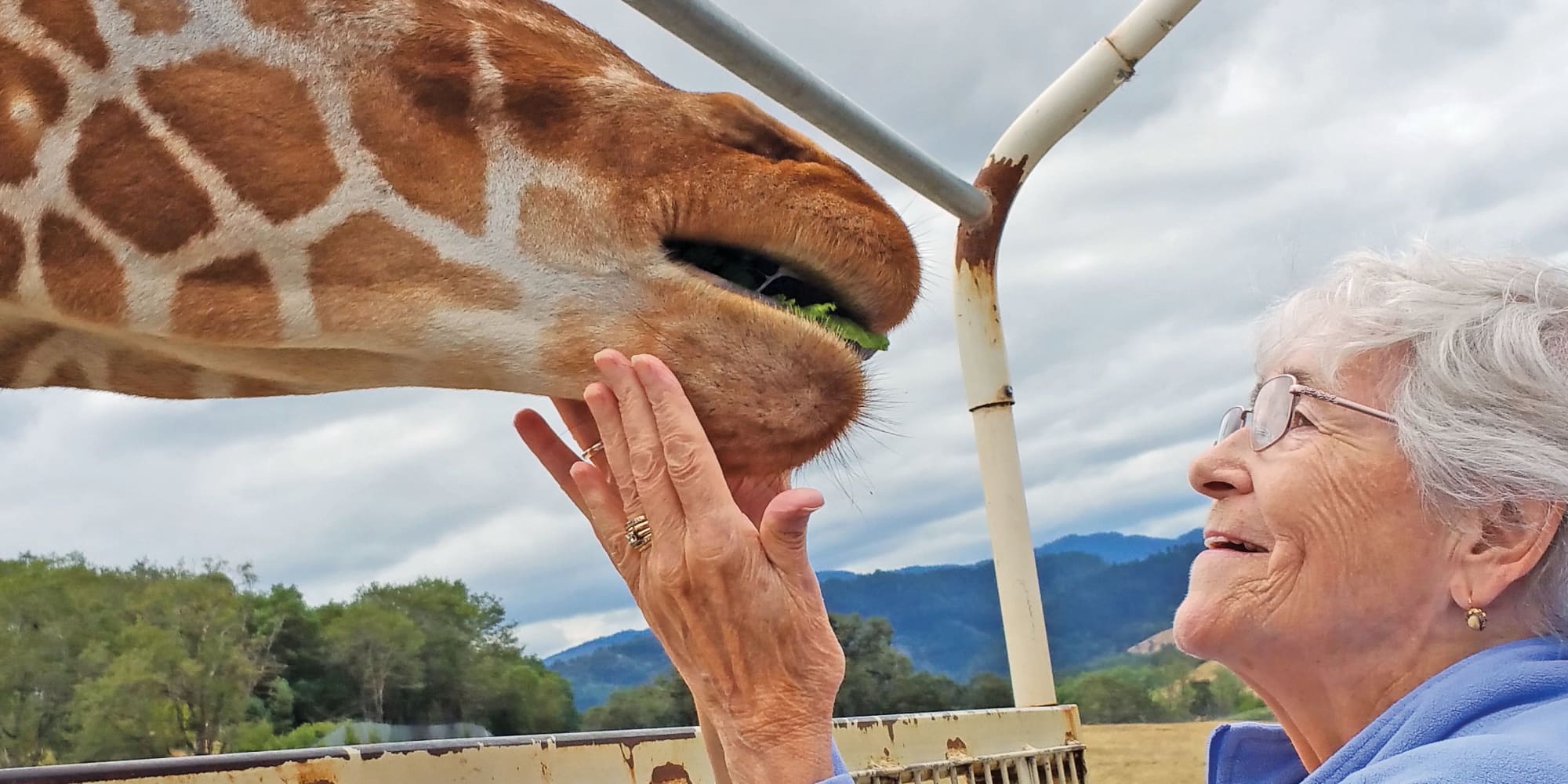 A resident from The Rio Grande Gracious Retirement Living in Rio Rancho, New Mexico petting a giraffe