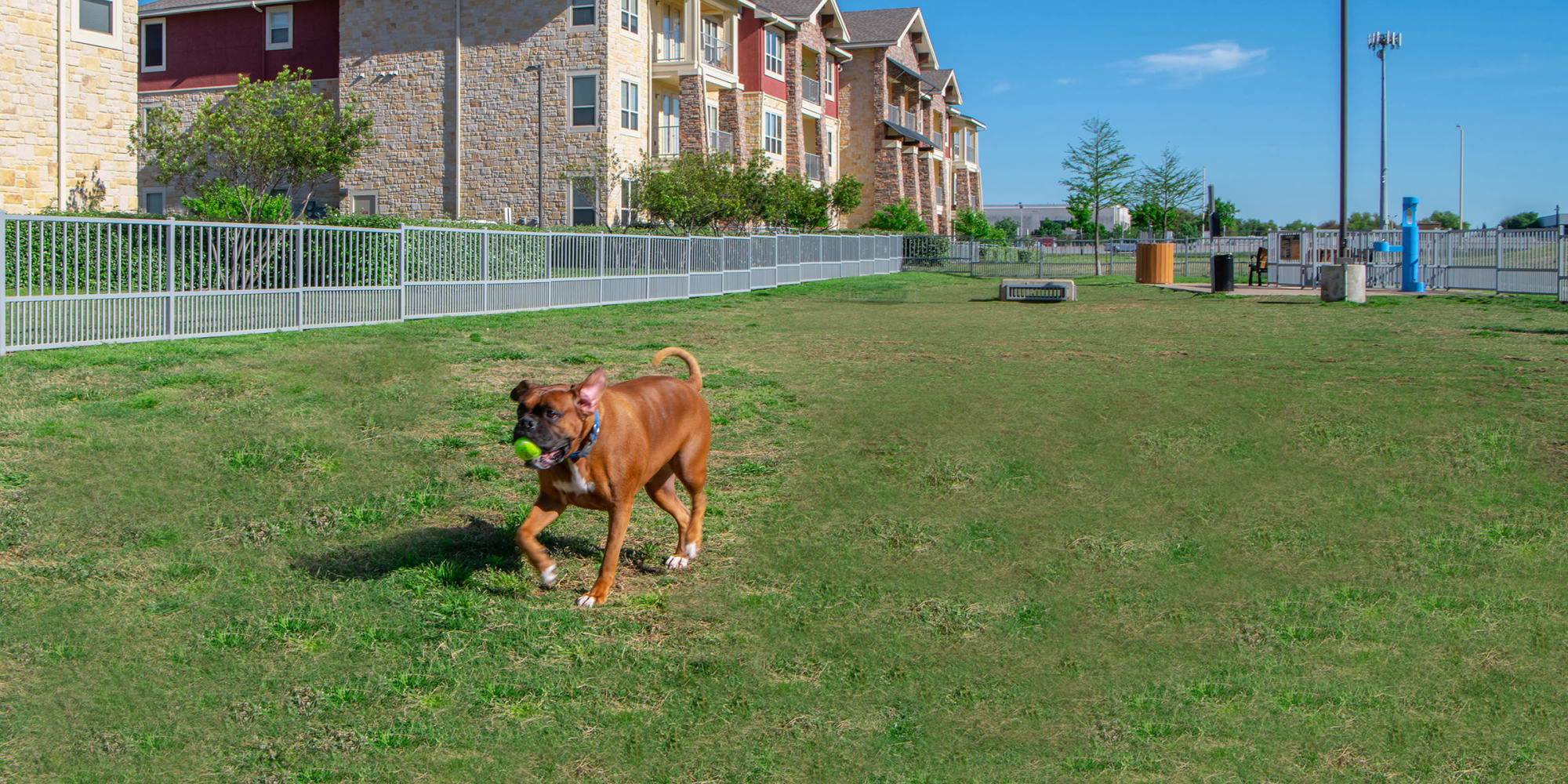 Dog park at Estates of Richardson in Richardson, Texas