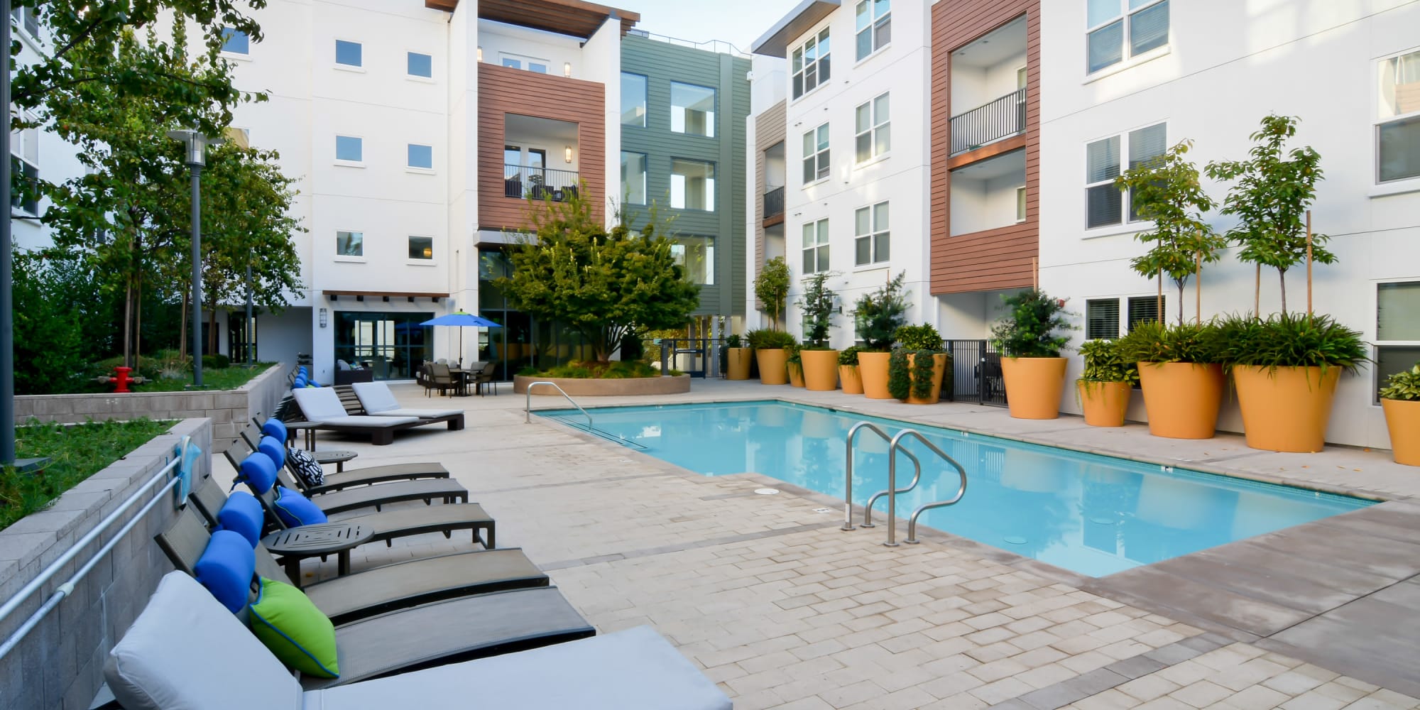 Apartments in Mountain View, California, at Domus on the Boulevard
