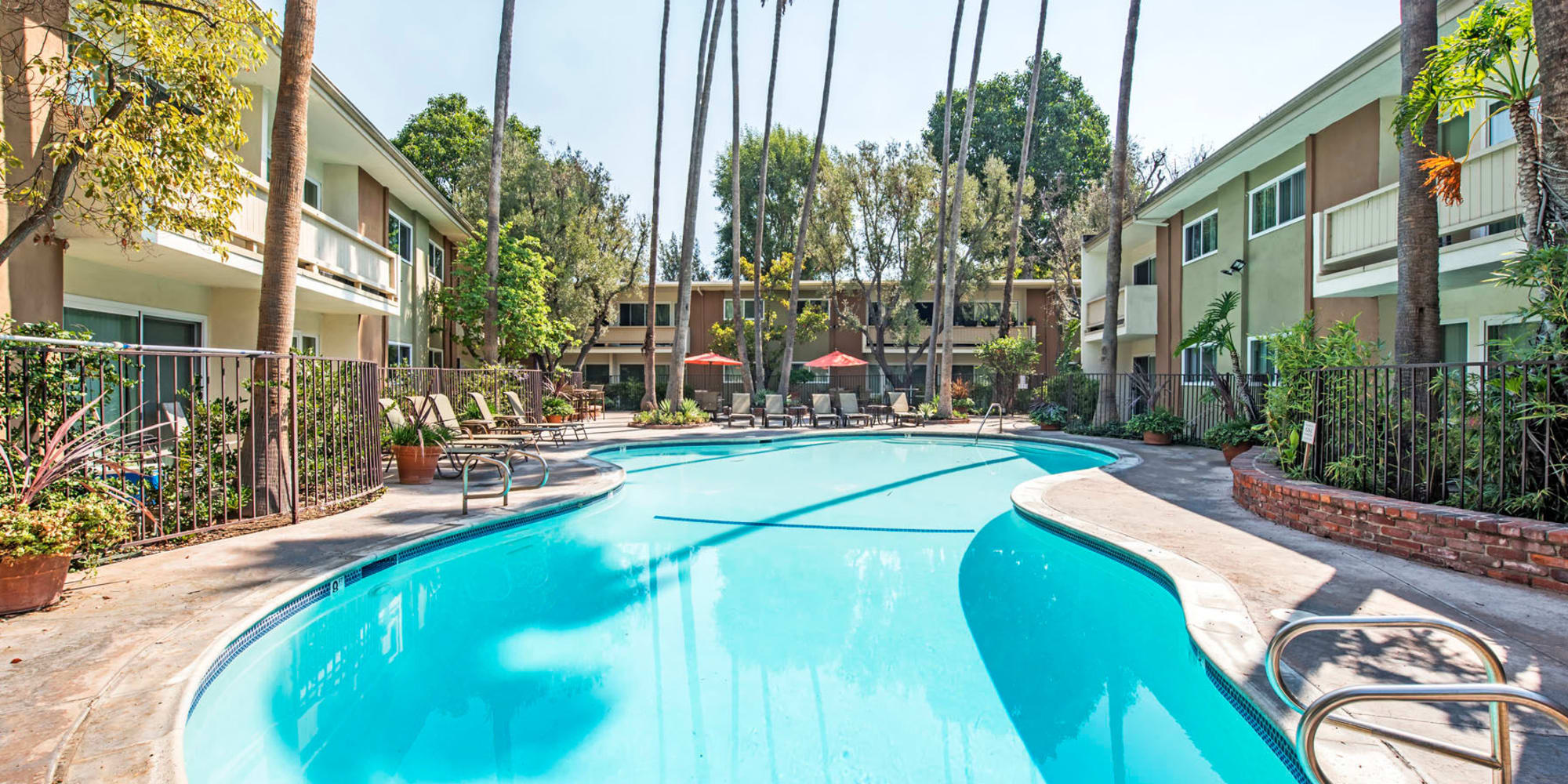 Resort-style swimming pool surrounded by palm trees at Villa Vicente in Los Angeles, California