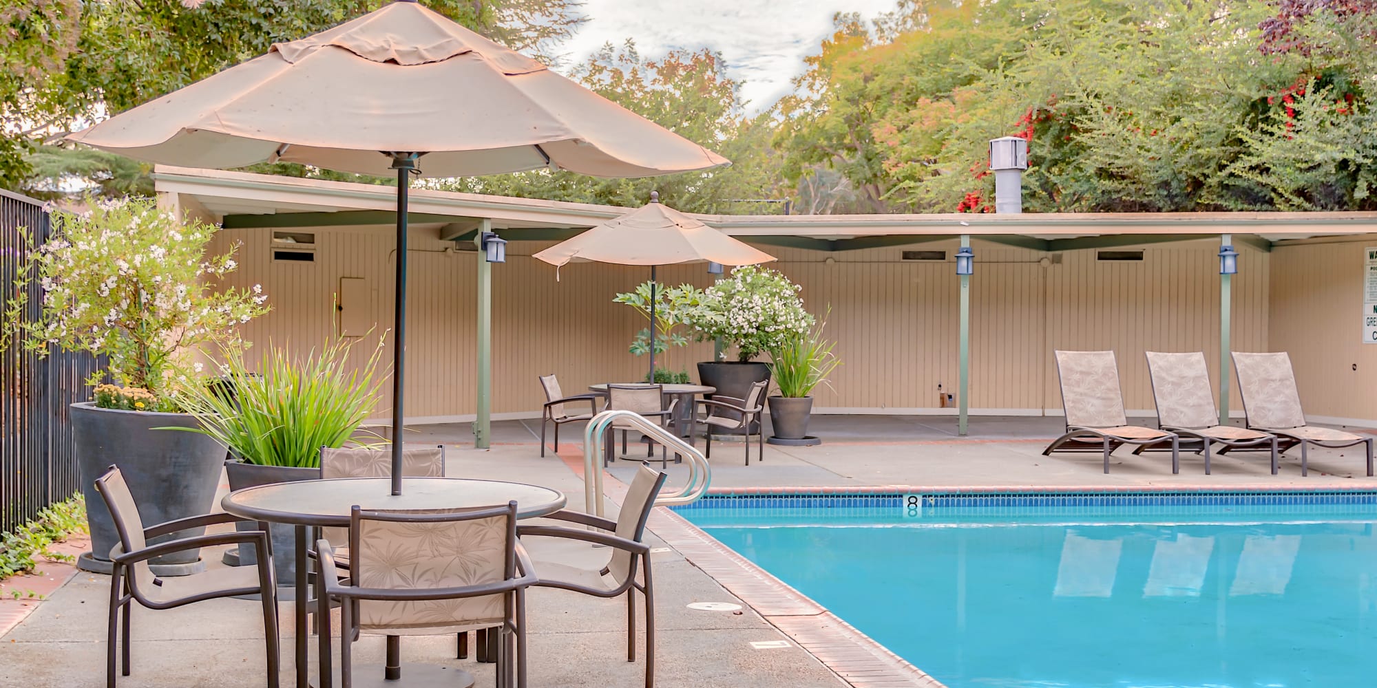 pool and lounging area at Greenpointe Apartment Homes in Santa Clara, California