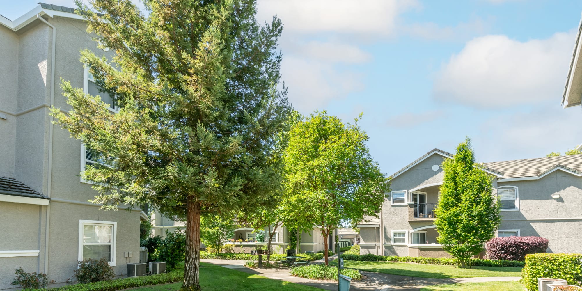Apartments from Hawthorn Village Apartments in Napa, California
