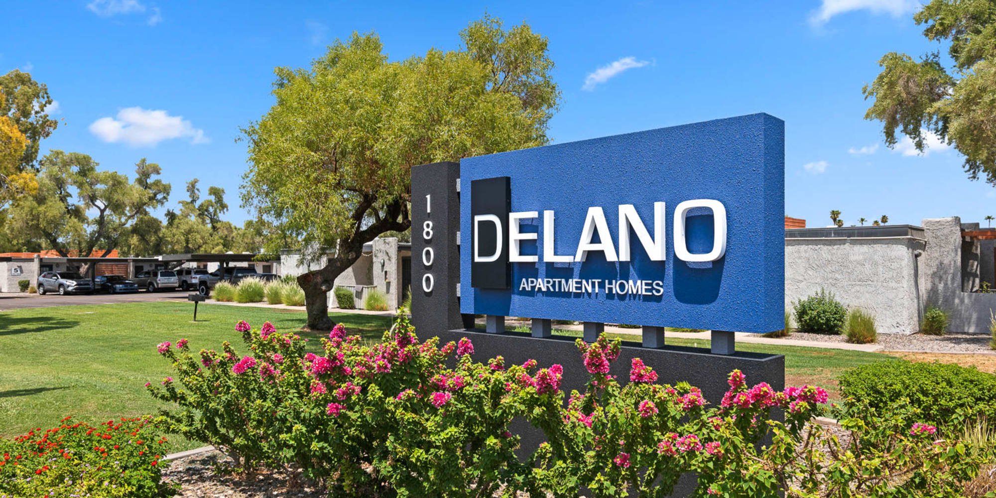 Delano exterior sign with landscaping and trees - Mesa, AZ