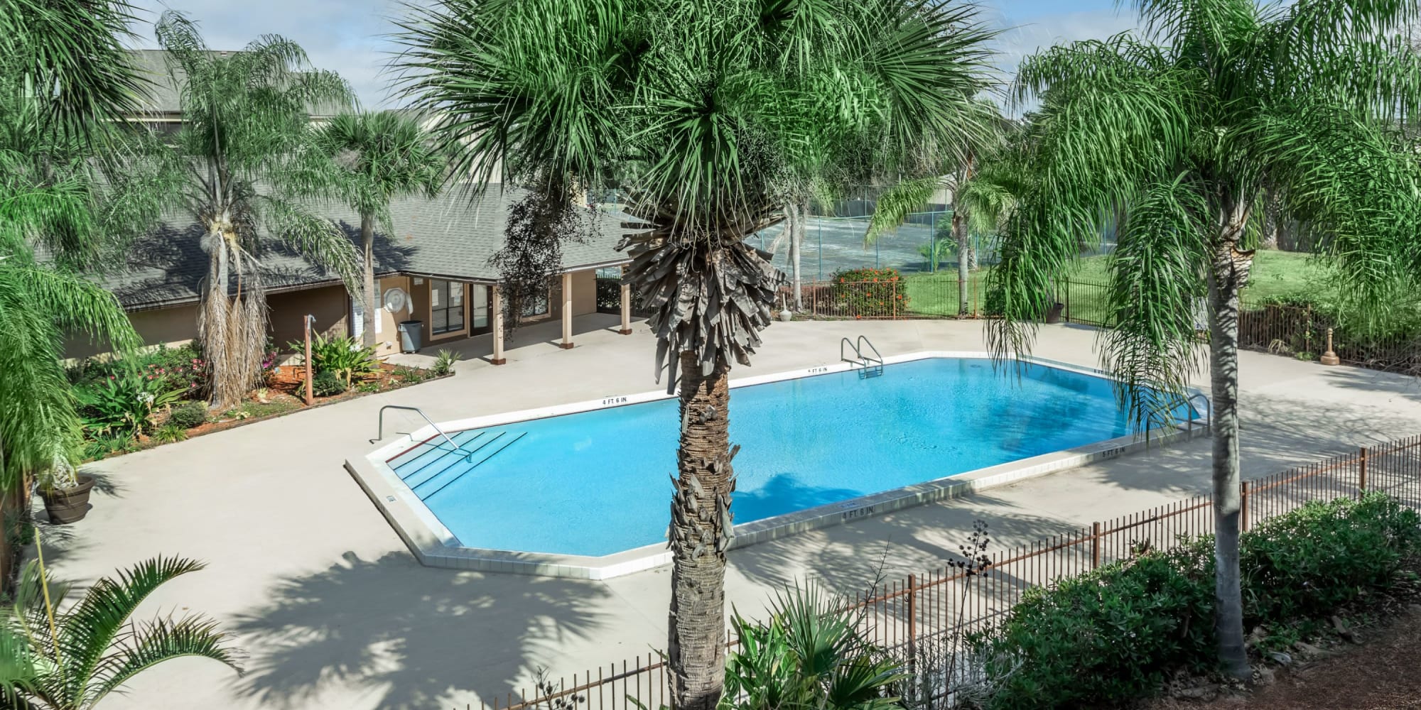 Pool surrounded by palm trees at The Cascades at Kissimmee in Kissimmee, Florida