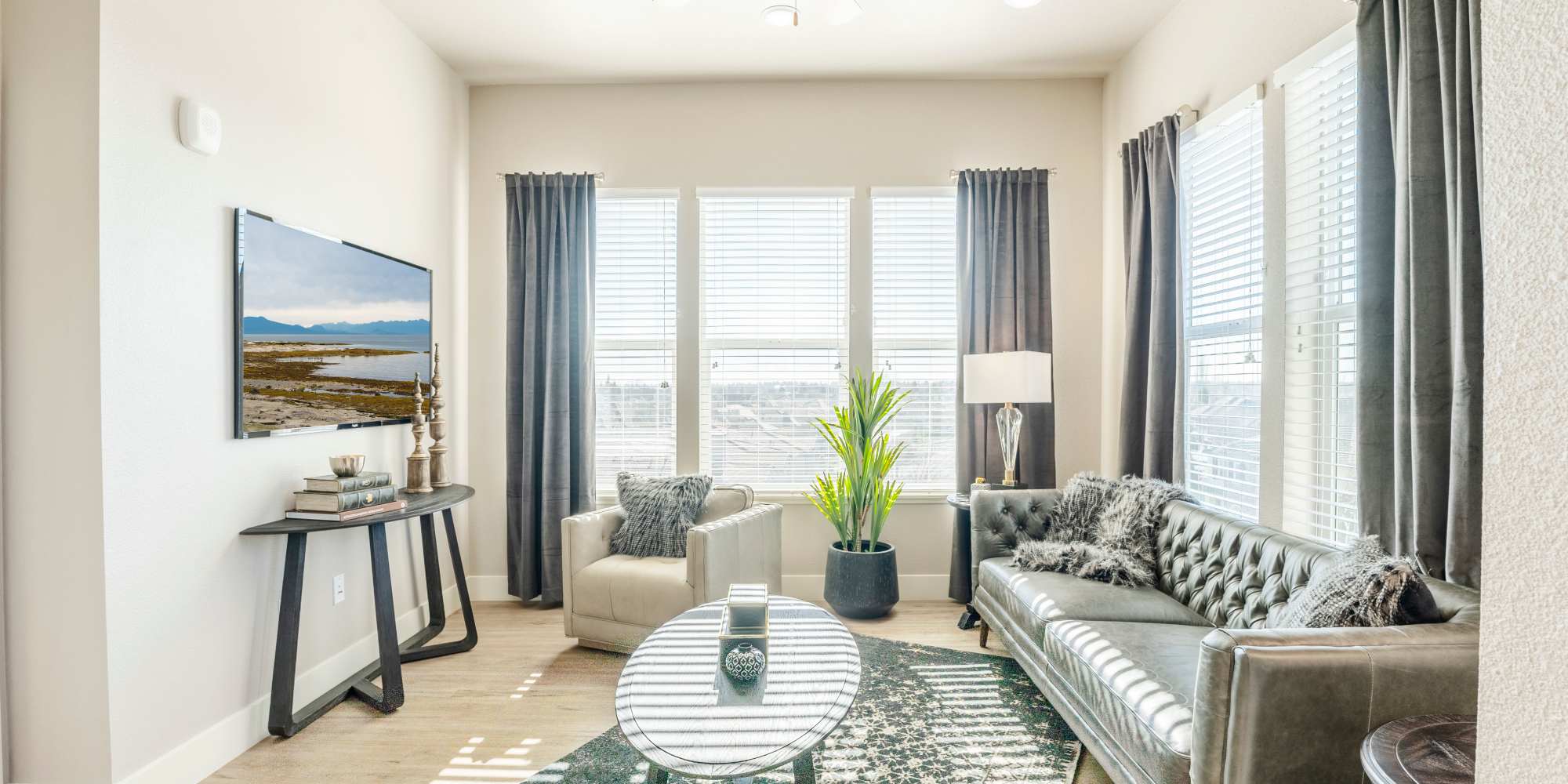 Living room with large windows at Alira Apartments in Sacramento, California