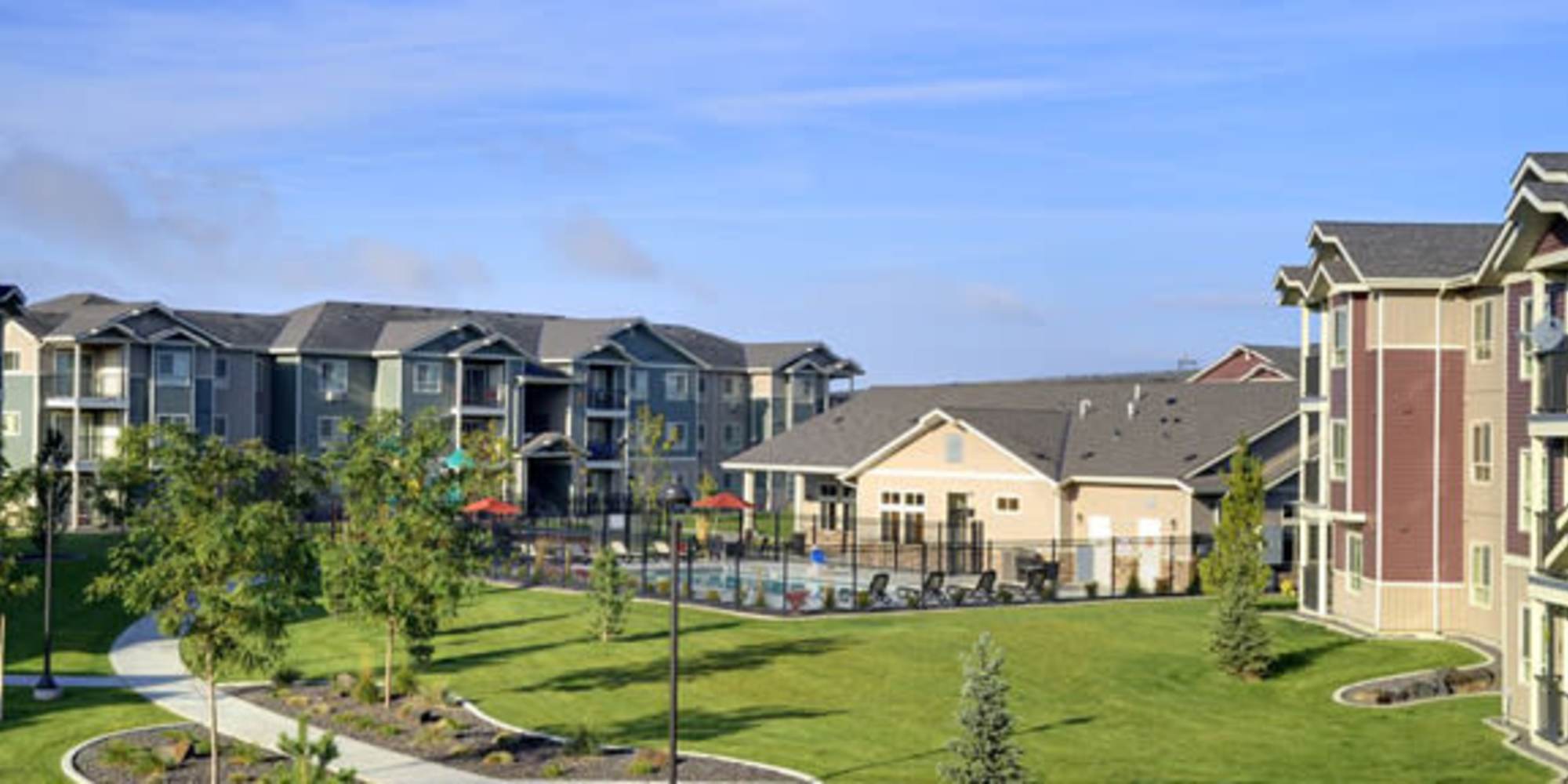View of the green lawn and pool at Copper Steppe in Parker, Colorado