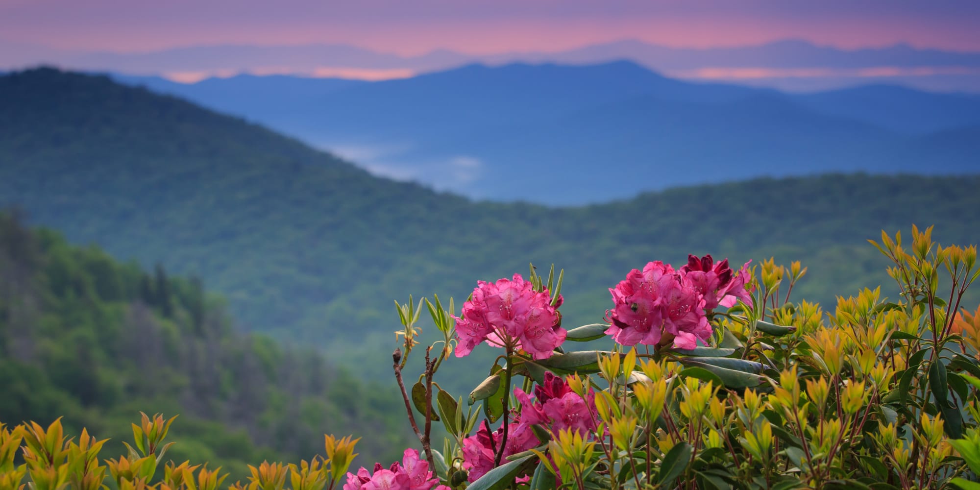 Berkshire and Barter Court Apartments located in Charlottesville, Virginia