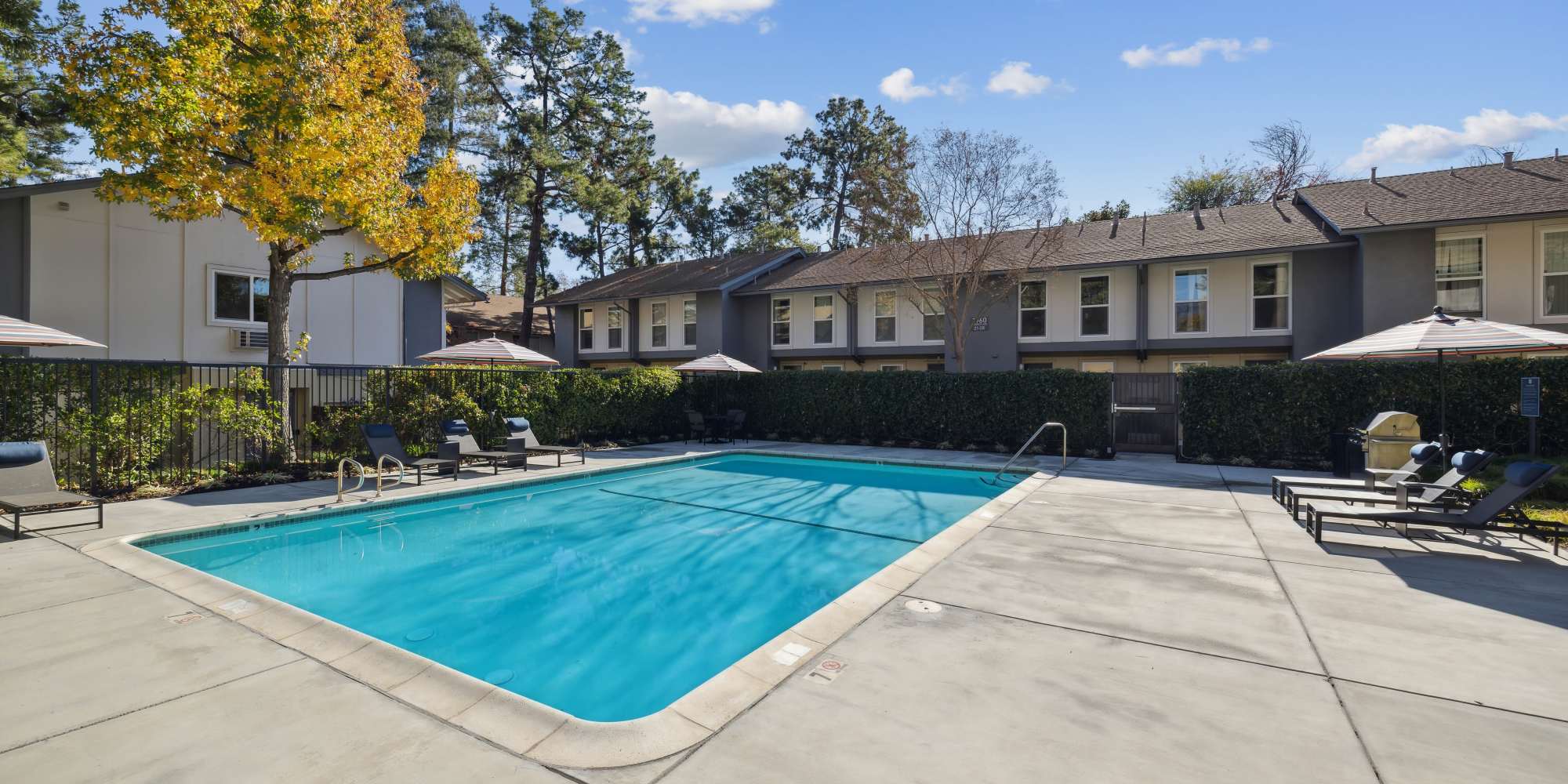 Swimming pool at Montecito Apartments in Santa Clara, California