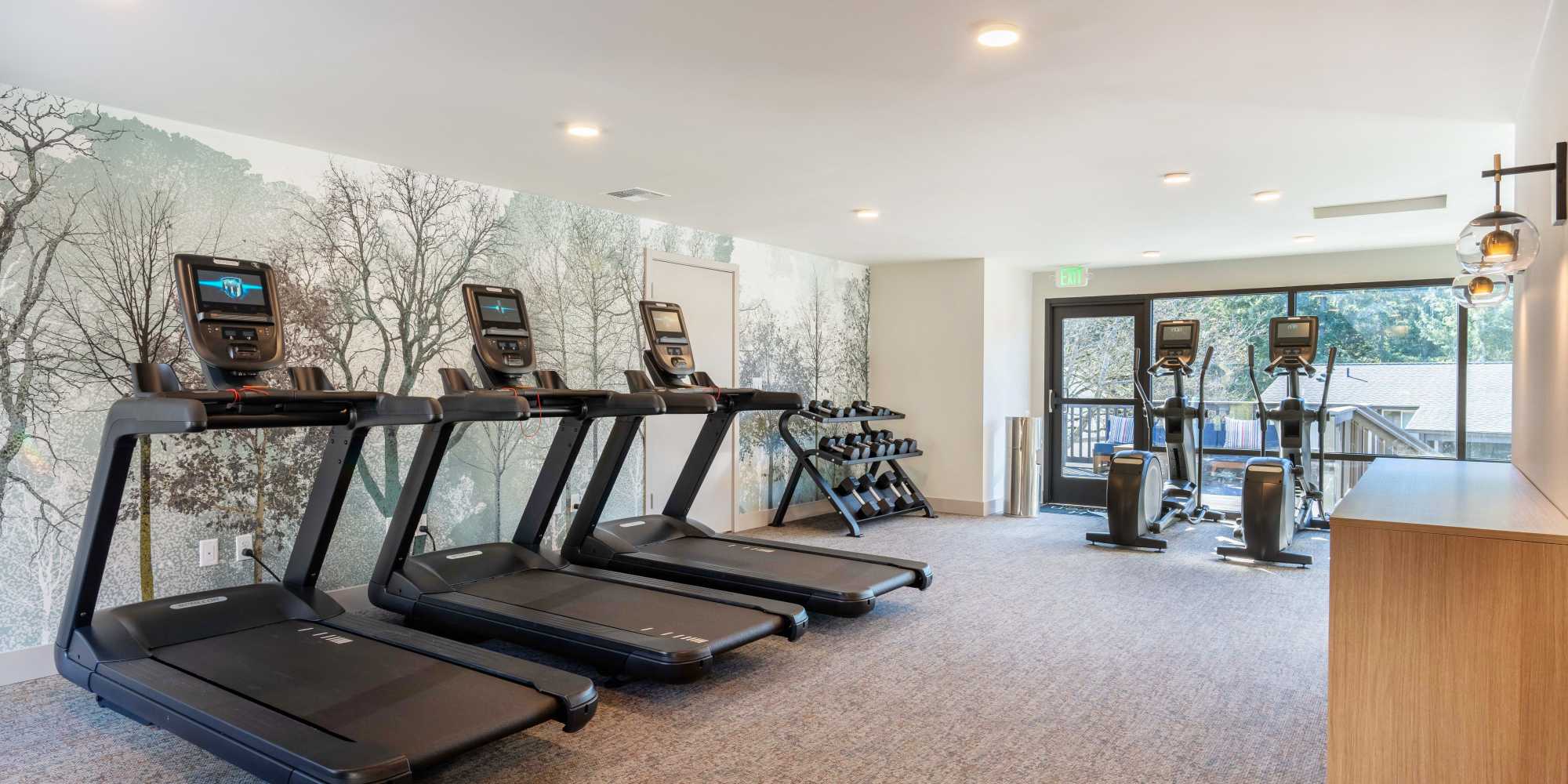 Treadmills at the fitness center at Haven Apartment Homes in Kent, Washington