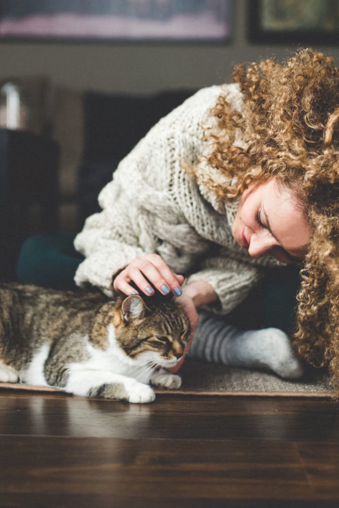 Resident petting her cat in their home at Five 10 Flats in Bethlehem, Pennsylvania