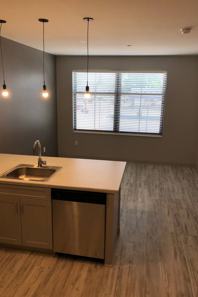 Sleeky kitchen with hardwood flooring at Leo and Alpine in Grand Rapids, Michigan