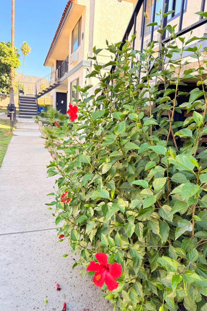 Beautiful Grounds w/ Views at Valley Pride Village in Sylmar, California