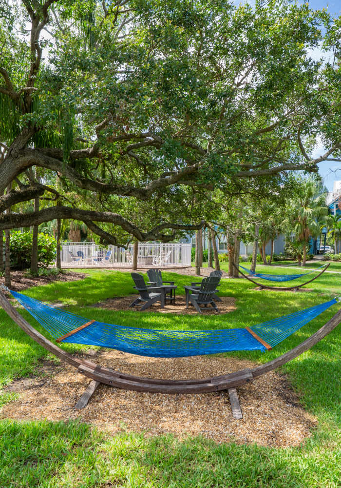 A hammock and outdoor seating at Mode at Ballast Point in Tampa, Florida