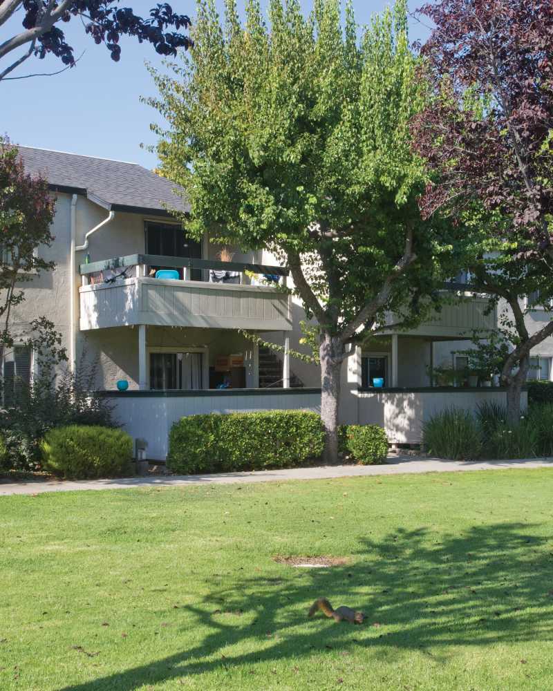 patio Trinity Way in Fremont, California