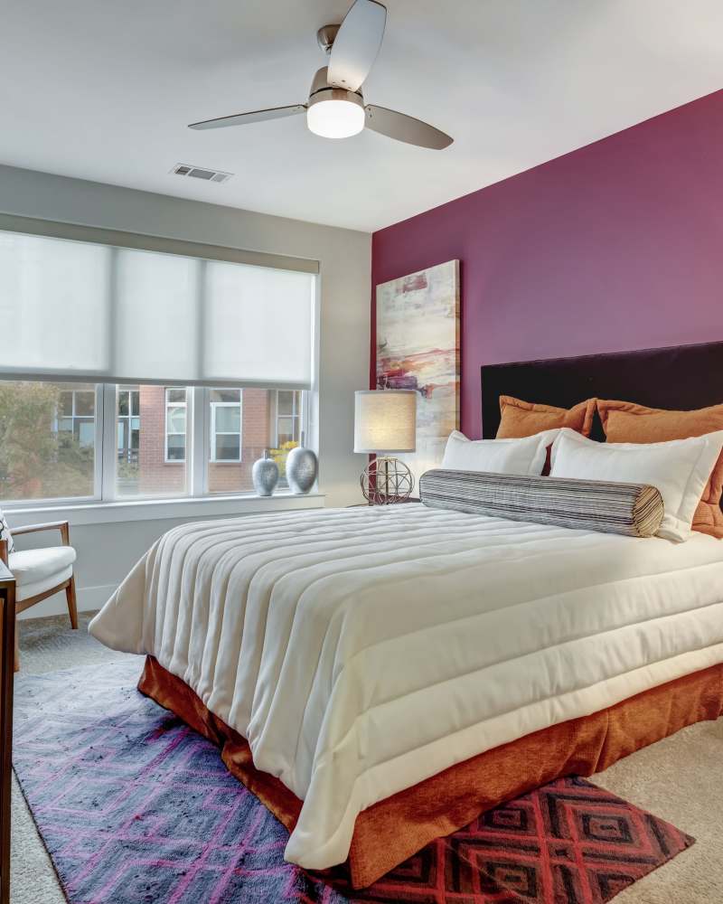 View two bedroom floor plans at Mercury NoDa in Charlotte, North Carolina