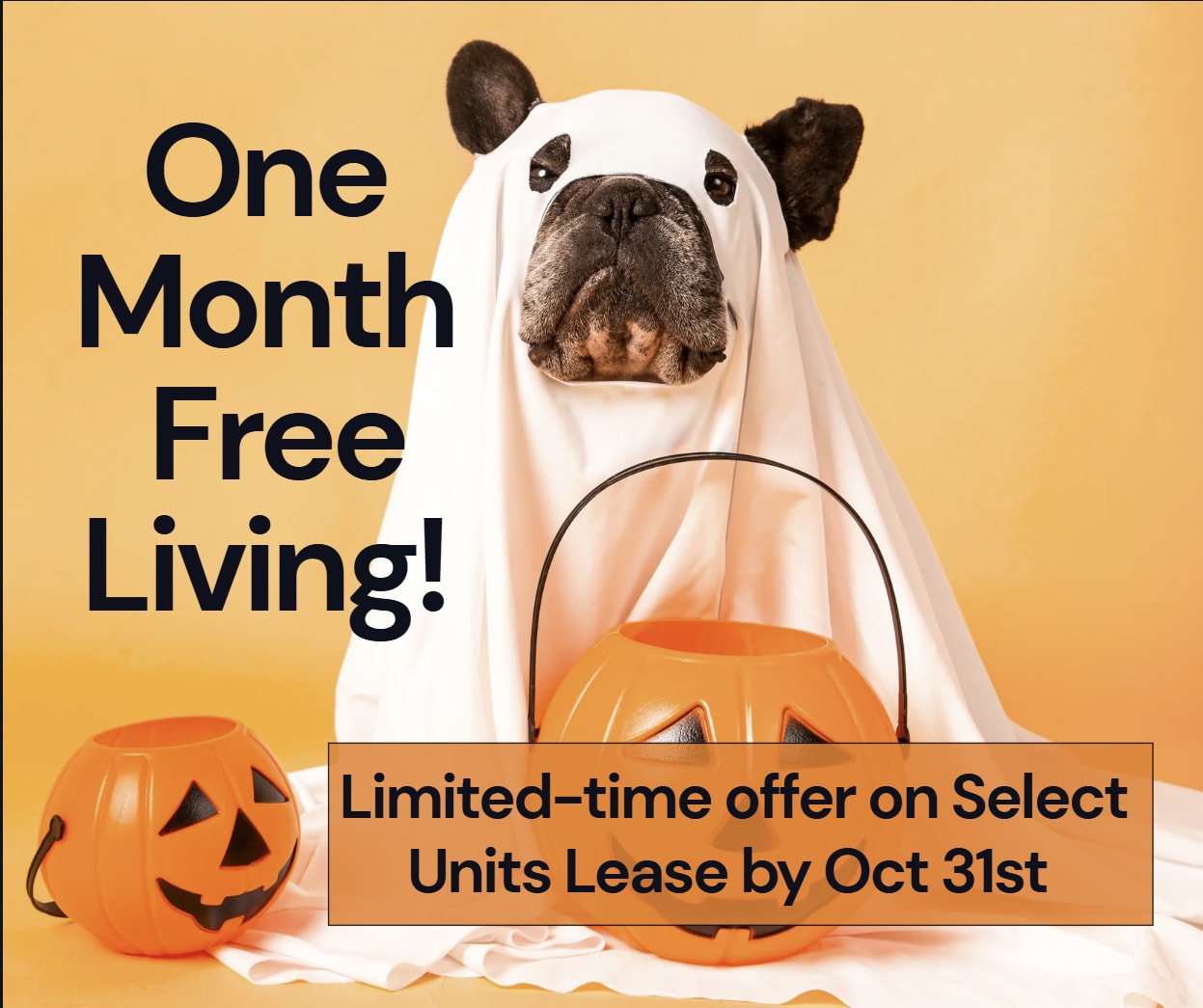 Lockwood Heights ONE MONTH FREE On SELECT FLOORPLANS! Limited Availability - Act Fast!  **Discount applies after first full months rent.