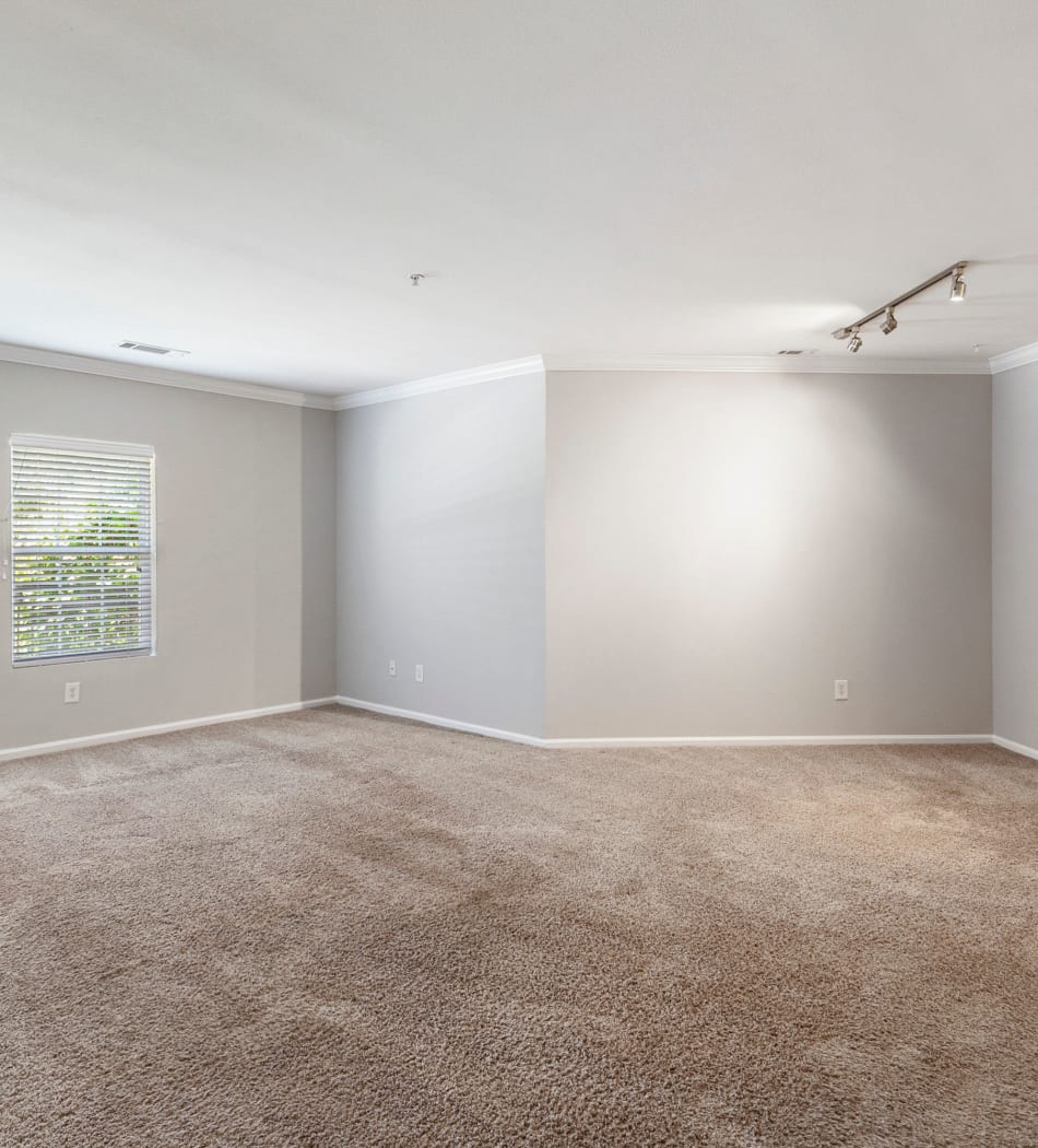 Plush carpeting in a very bright home at Sofi at Salem Station in Salem, Massachusetts