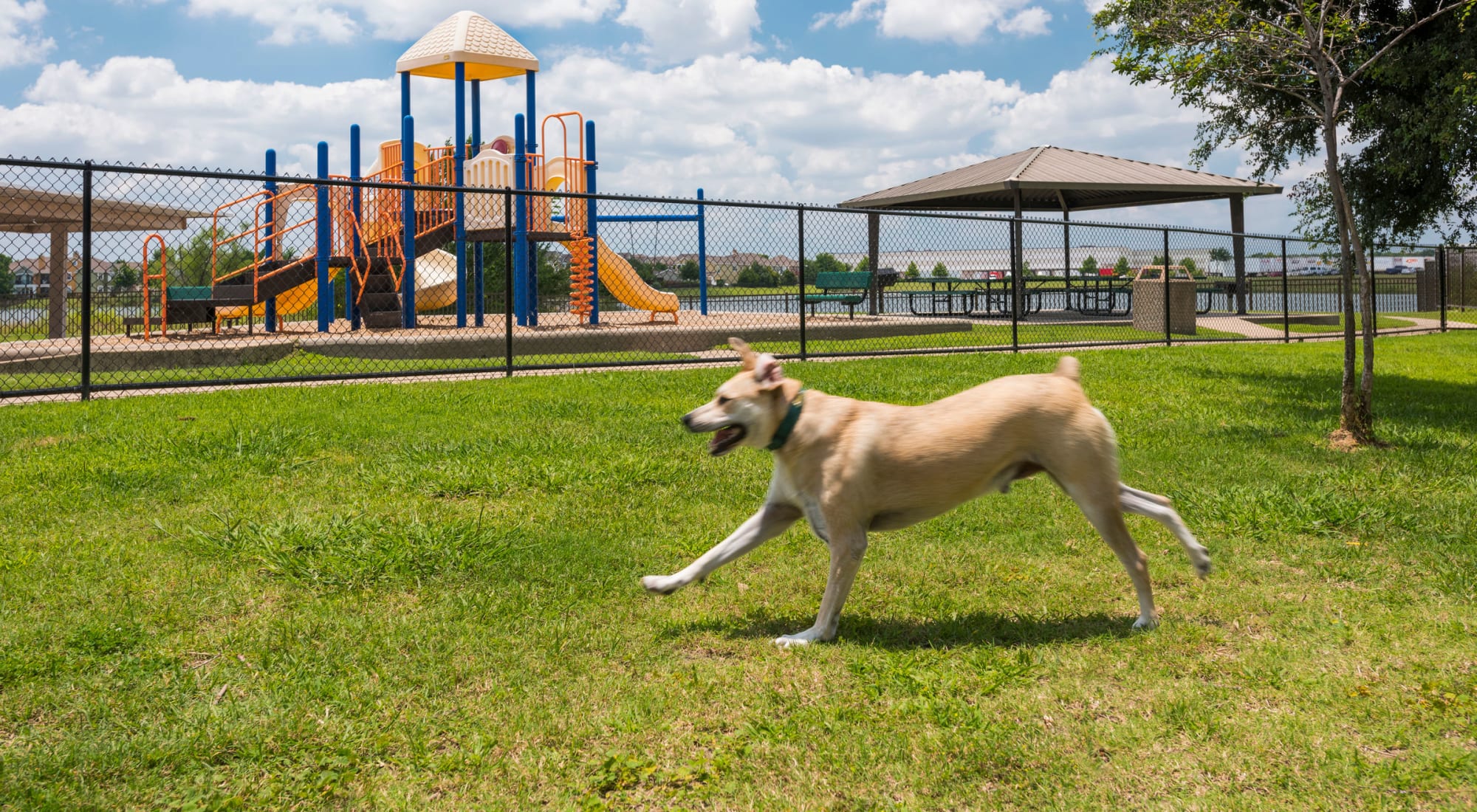 Dog Park at Crescent Cove at Lakepointe 
