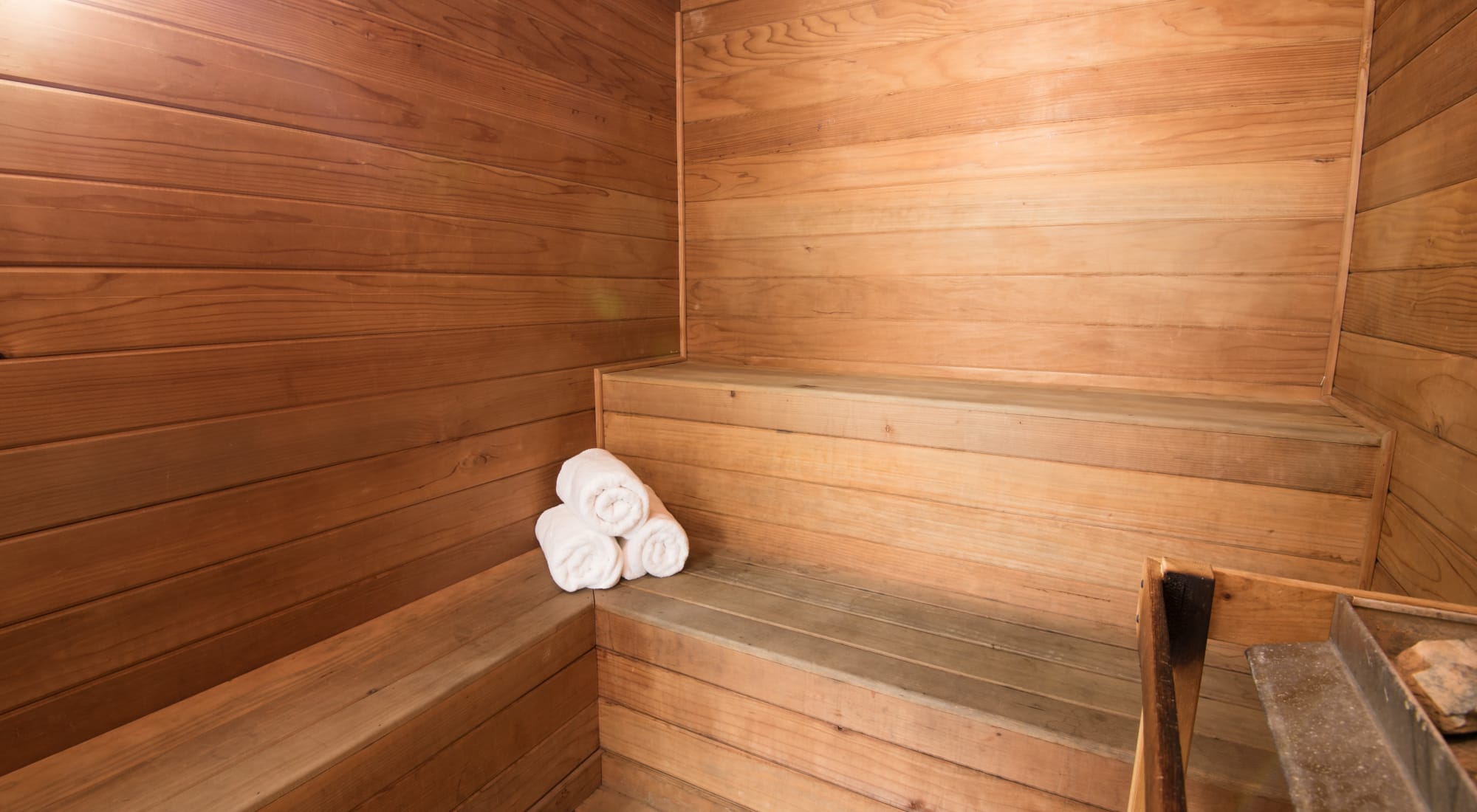 Sauna at the Lakeview at Parkside 