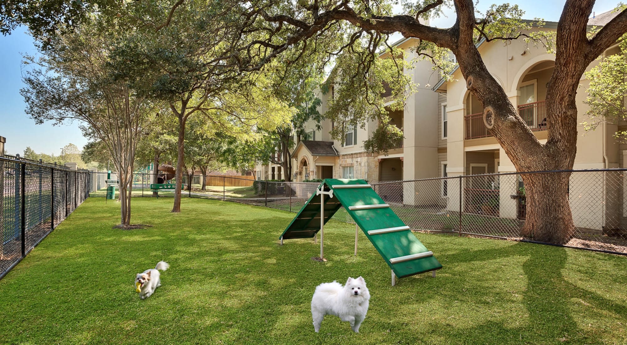 Dog park at Sedona Ranch Apartments in San Antonio, Texas