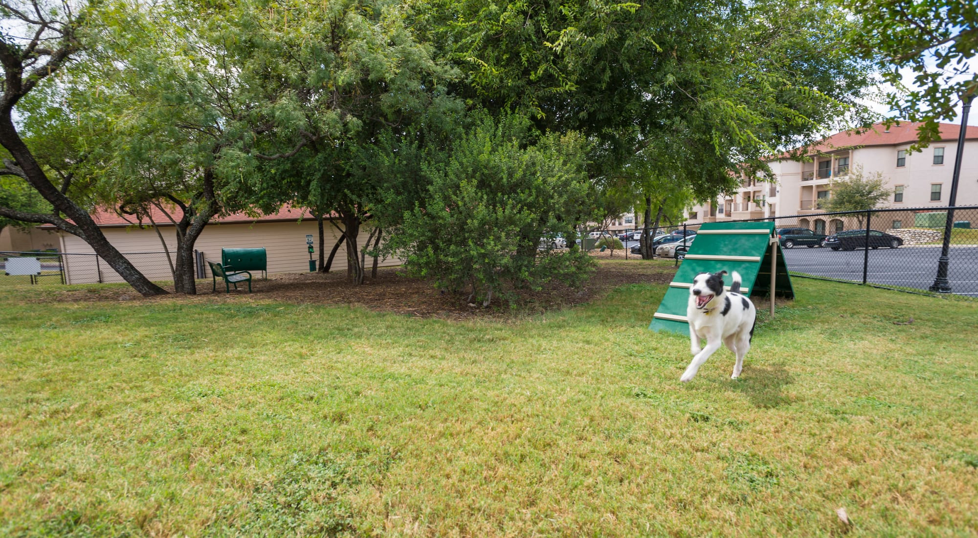 Dog Park at Villas at Medical Center