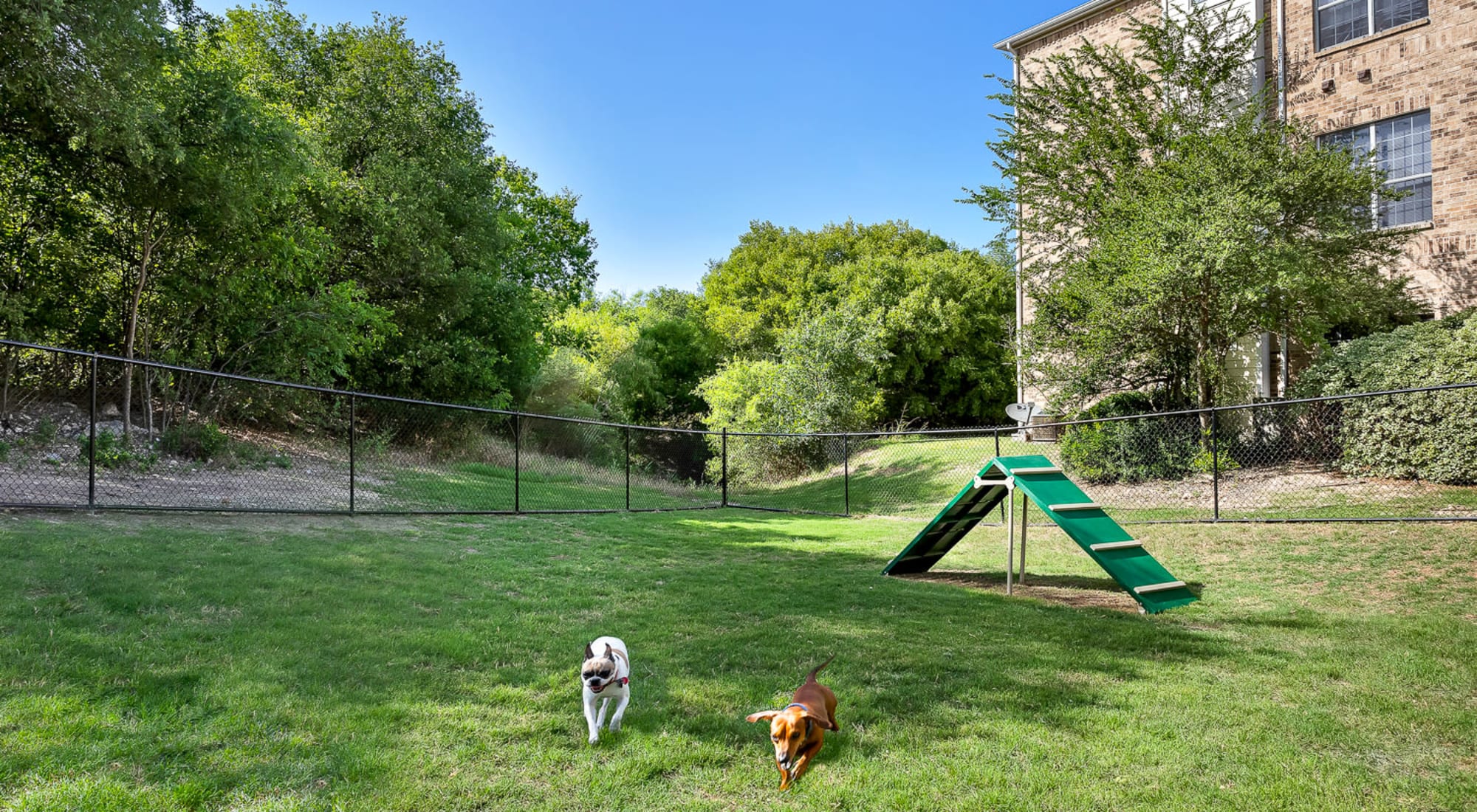 Dog Park at Stoneybrook Apartments & Townhomes