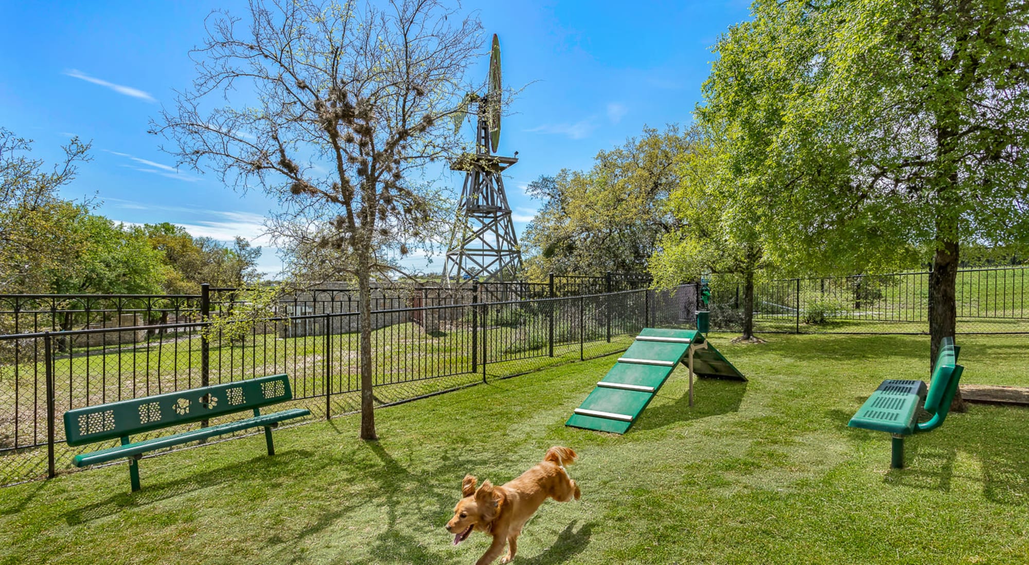 Dog Park at The Lodge at Westover Hills