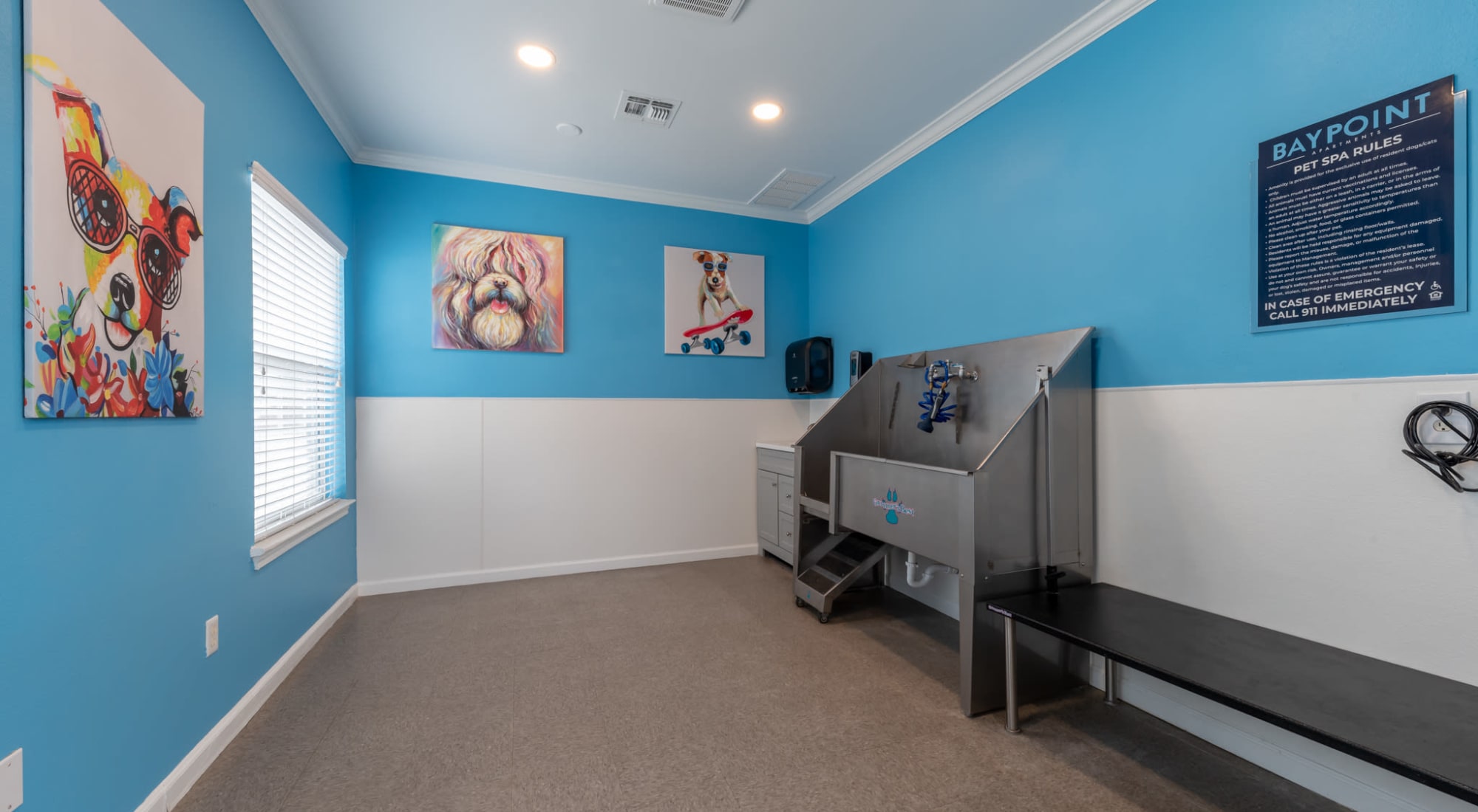 pet spa