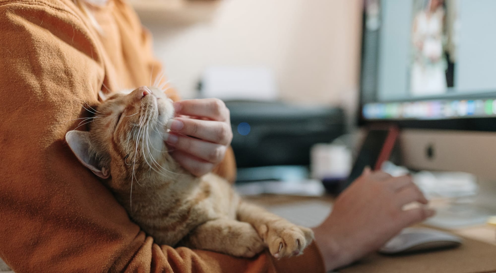 Resident working from home and petting their cat at Franklin Commons in Bensalem, Pennsylvania