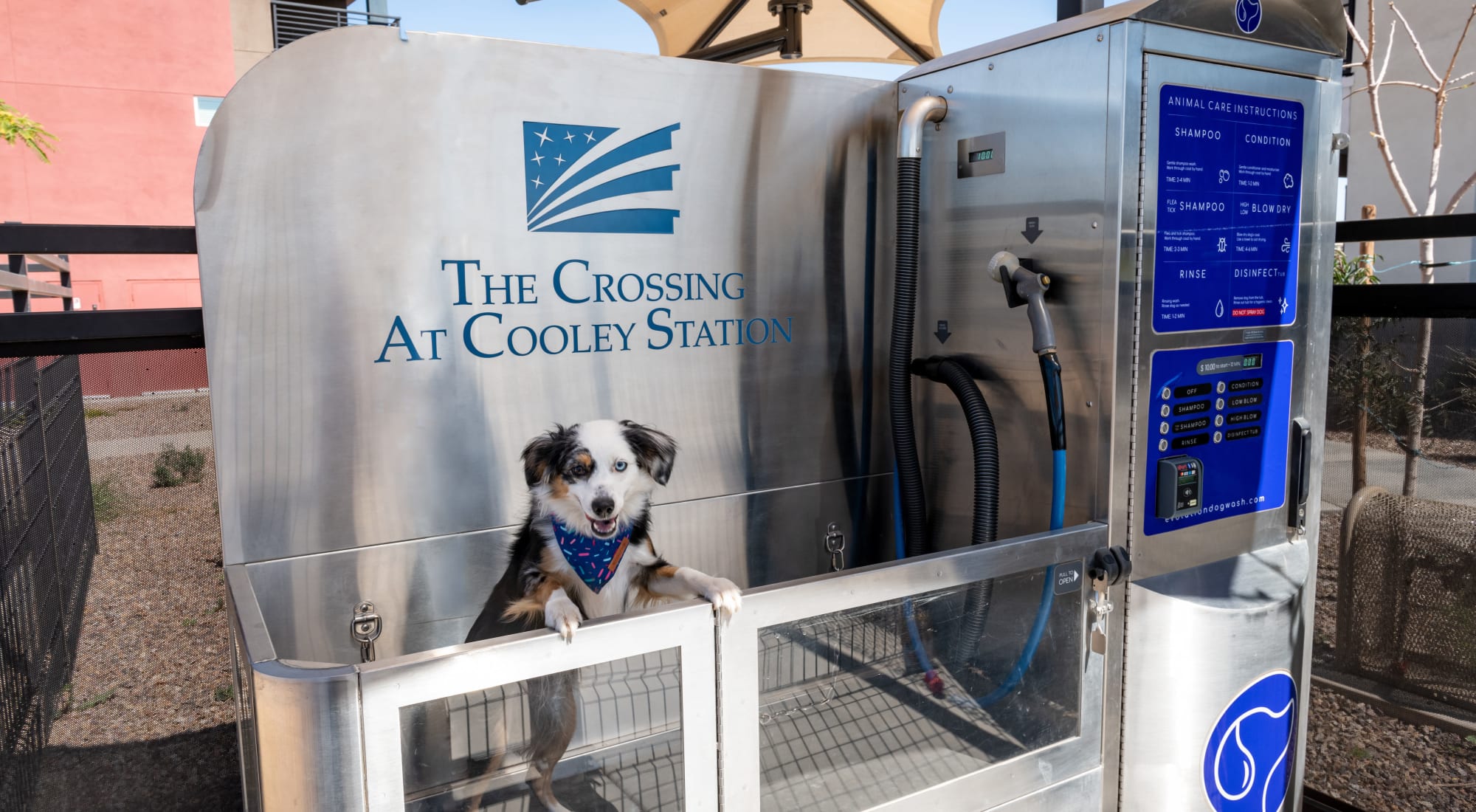 Dog park at The Crossing at Cooley Station in Gilbert, Arizona