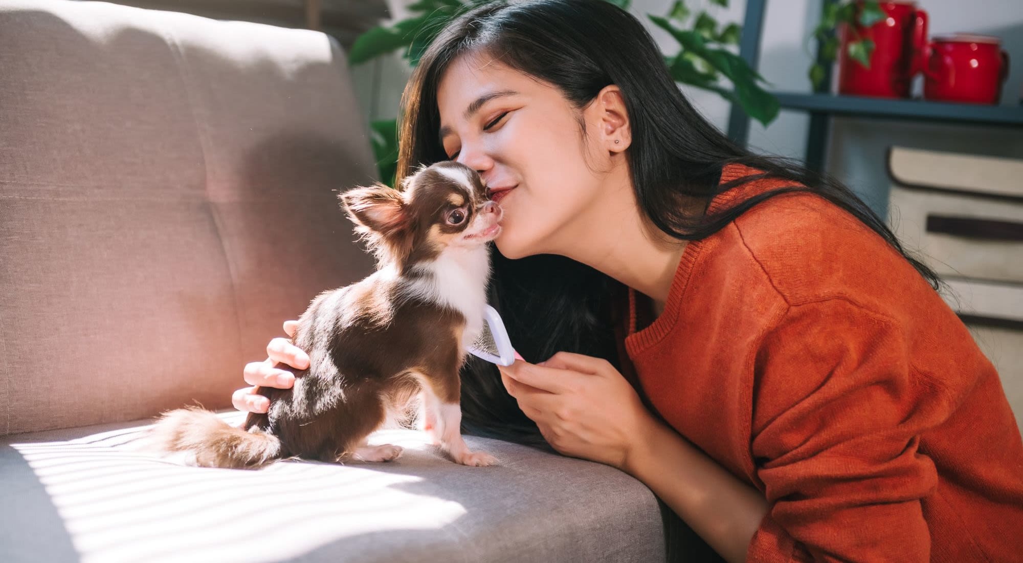 Photos of Reserve at Hoffman Estates in Hoffman Estates, IL