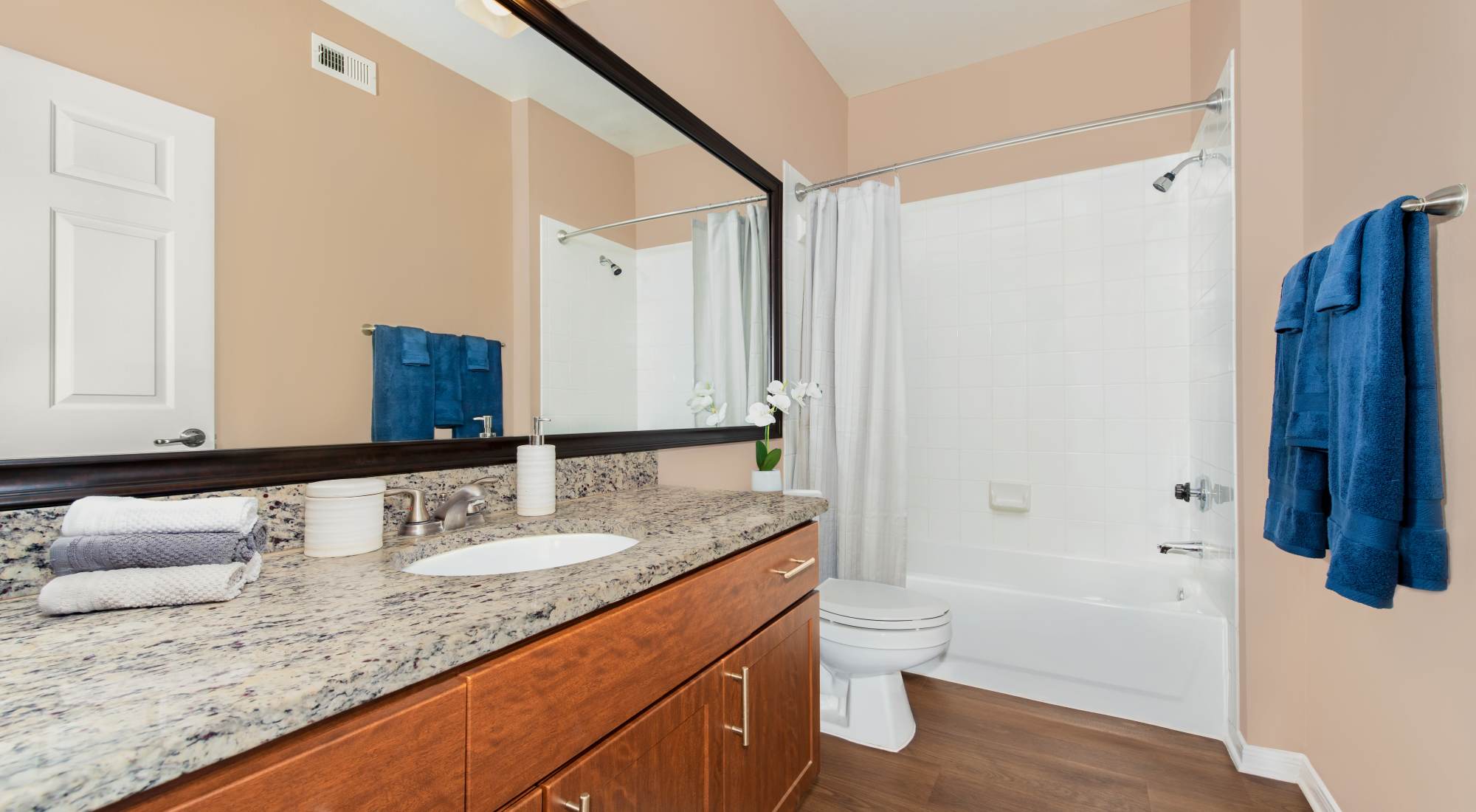 Bathroom with shower tub at Crescent Cove at Lakepointe