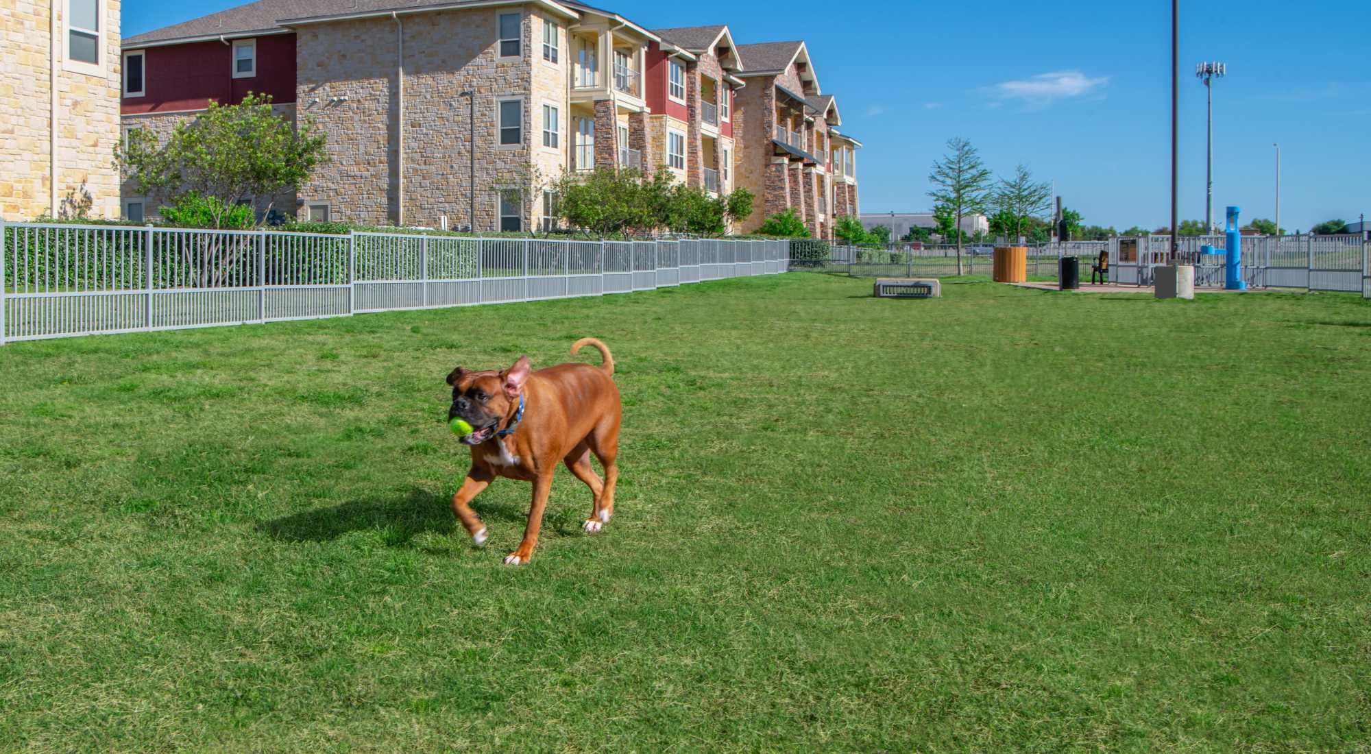 Dog park at Estates of Richardson