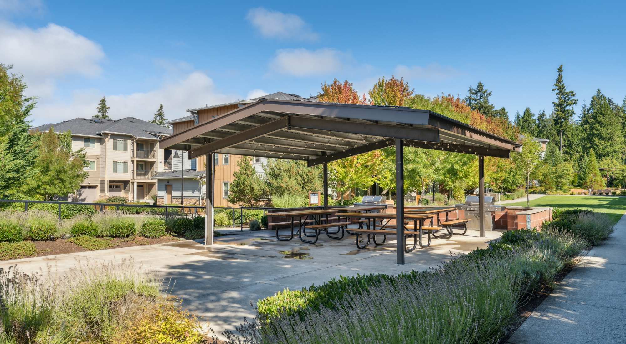 Photo gallery at Vue Issaquah in Issaquah, Washington