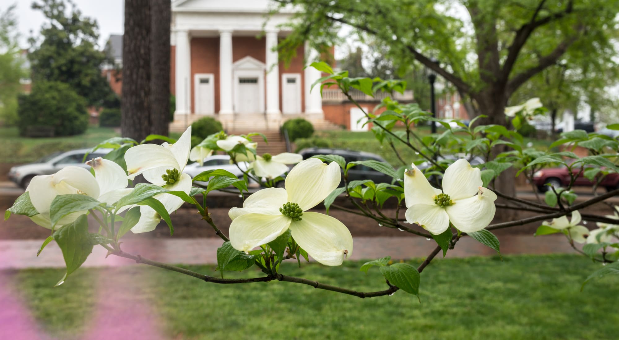 Apply | Berkshire and Barter Court Apartments in Charlottesville, Virginia