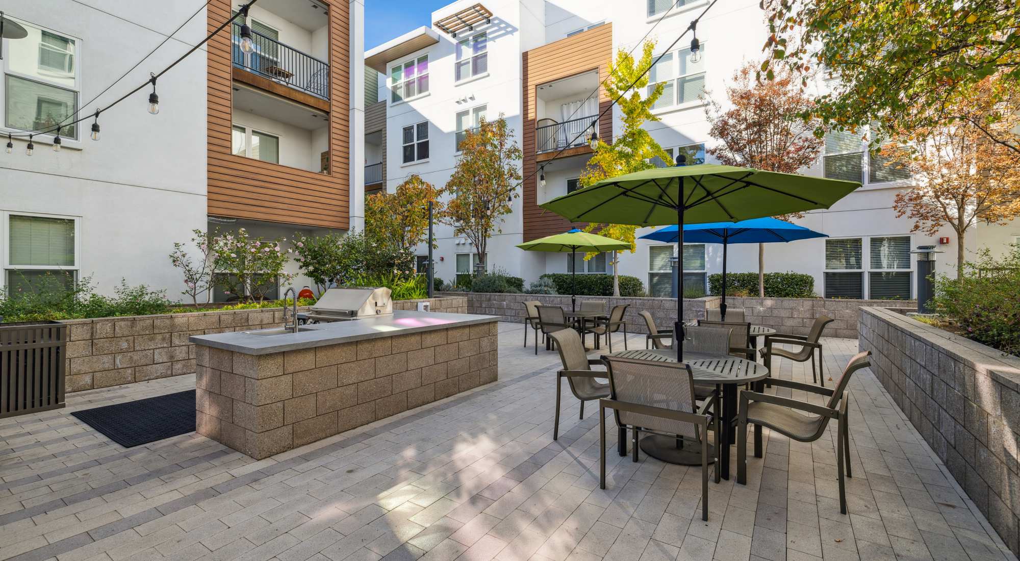 Contact us at Domus on the Boulevard in Mountain View, California
