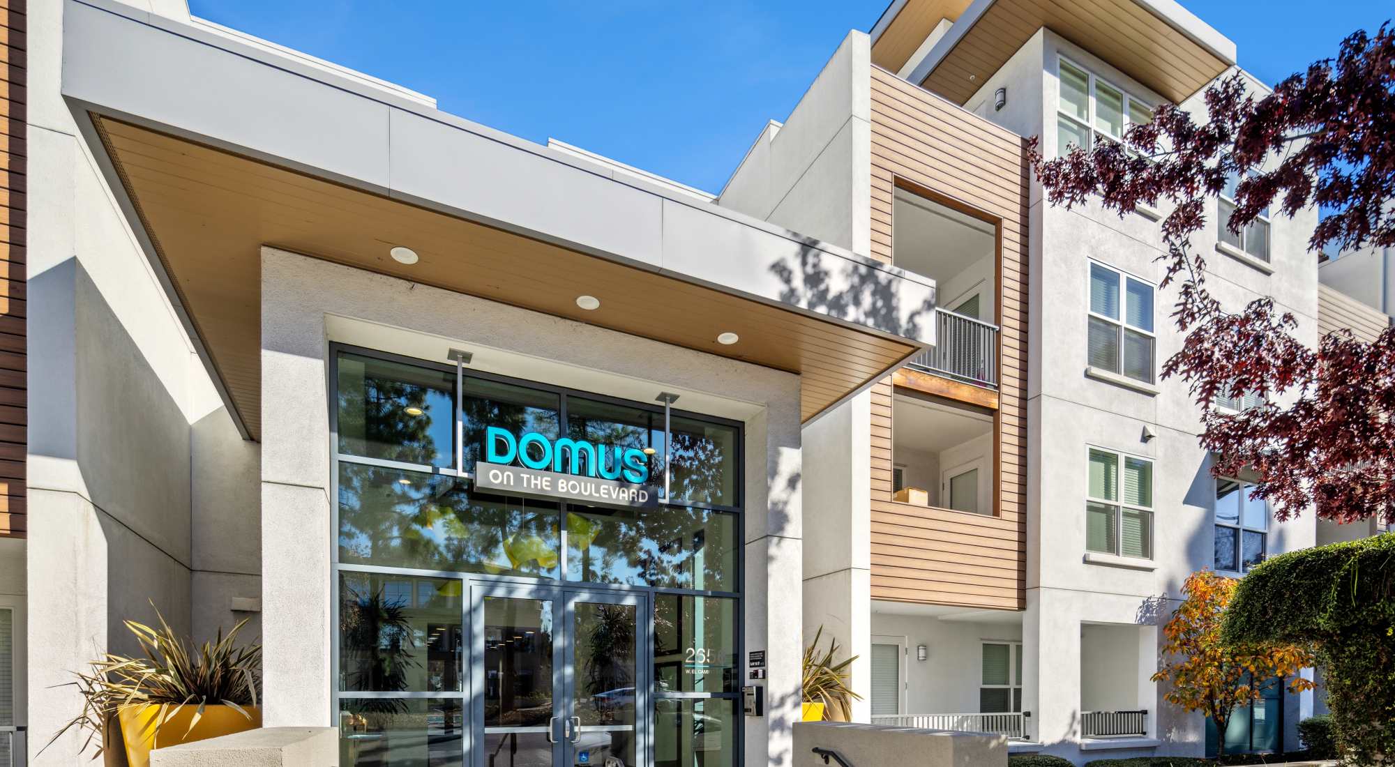Neighborhood at Domus on the Boulevard in Mountain View, California
